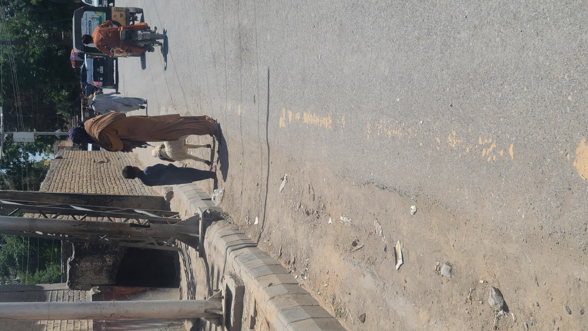 The image shows a street scene in Quetta City Tehsil, Pakistan. An adult male set of 2 is wearing traditional brown clothing and leading a white sheep. A child stands nearby. A tuk-tuk and other vehicles can be seen on the road. The environment includes a paved road, a brick wall, and some trees in the background. There is trash and debris scattered on the shoulder of the road.