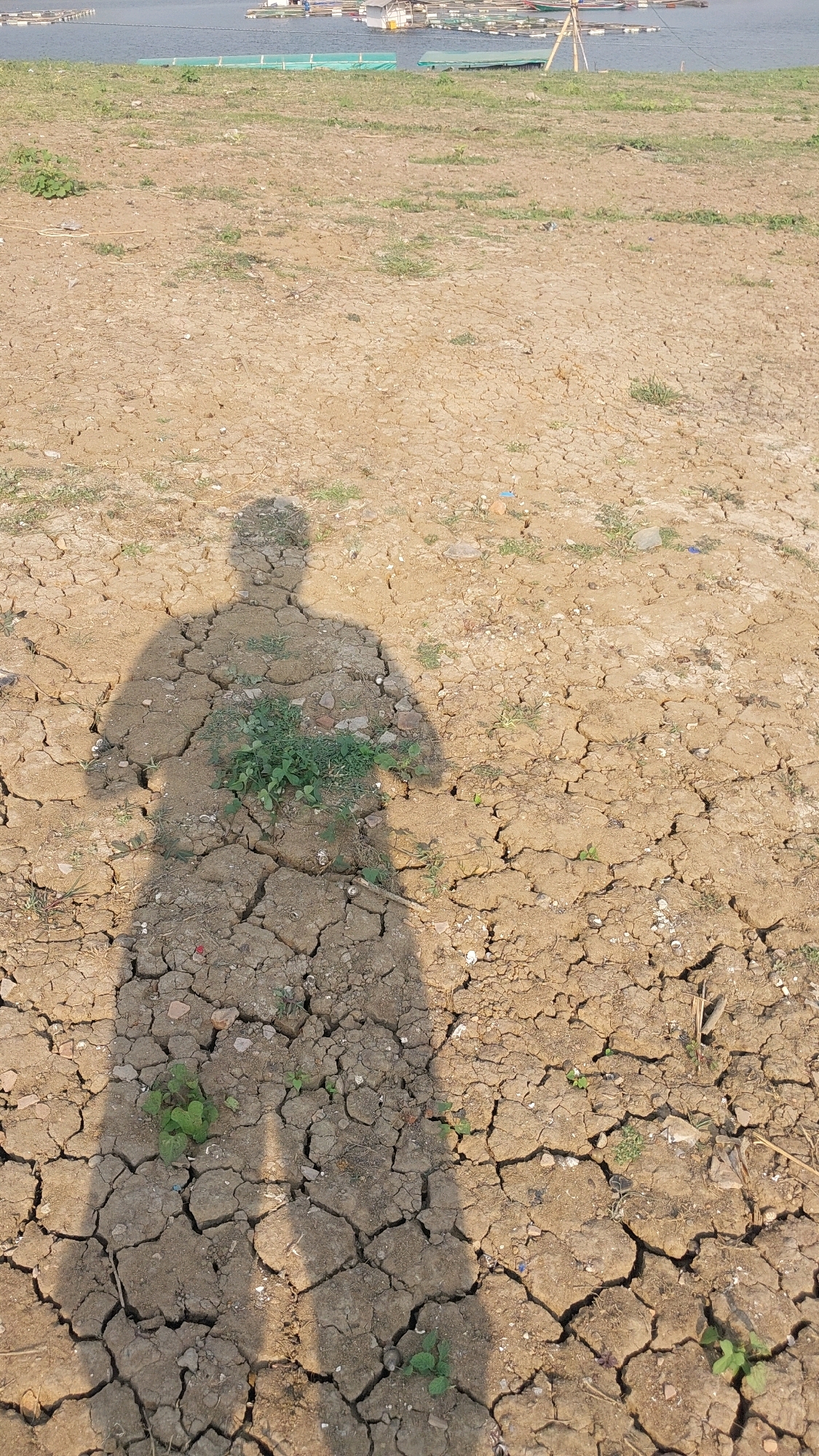 A shadow of a person stands on cracked dry earth with sparse green vegetation. In the background, a body of water is visible with a series of aquaculture cages or rafts floating on it. The scene appears to be in Bojonghaleuang, Indonesia, suggested by the aquaculture structures commonly found in Indonesian waterways. The lighting indicates it is daytime, with the sun casting a long shadow, implying a low sun angle, possibly morning or late afternoon. The cracked earth suggests a dry season or drought condition.