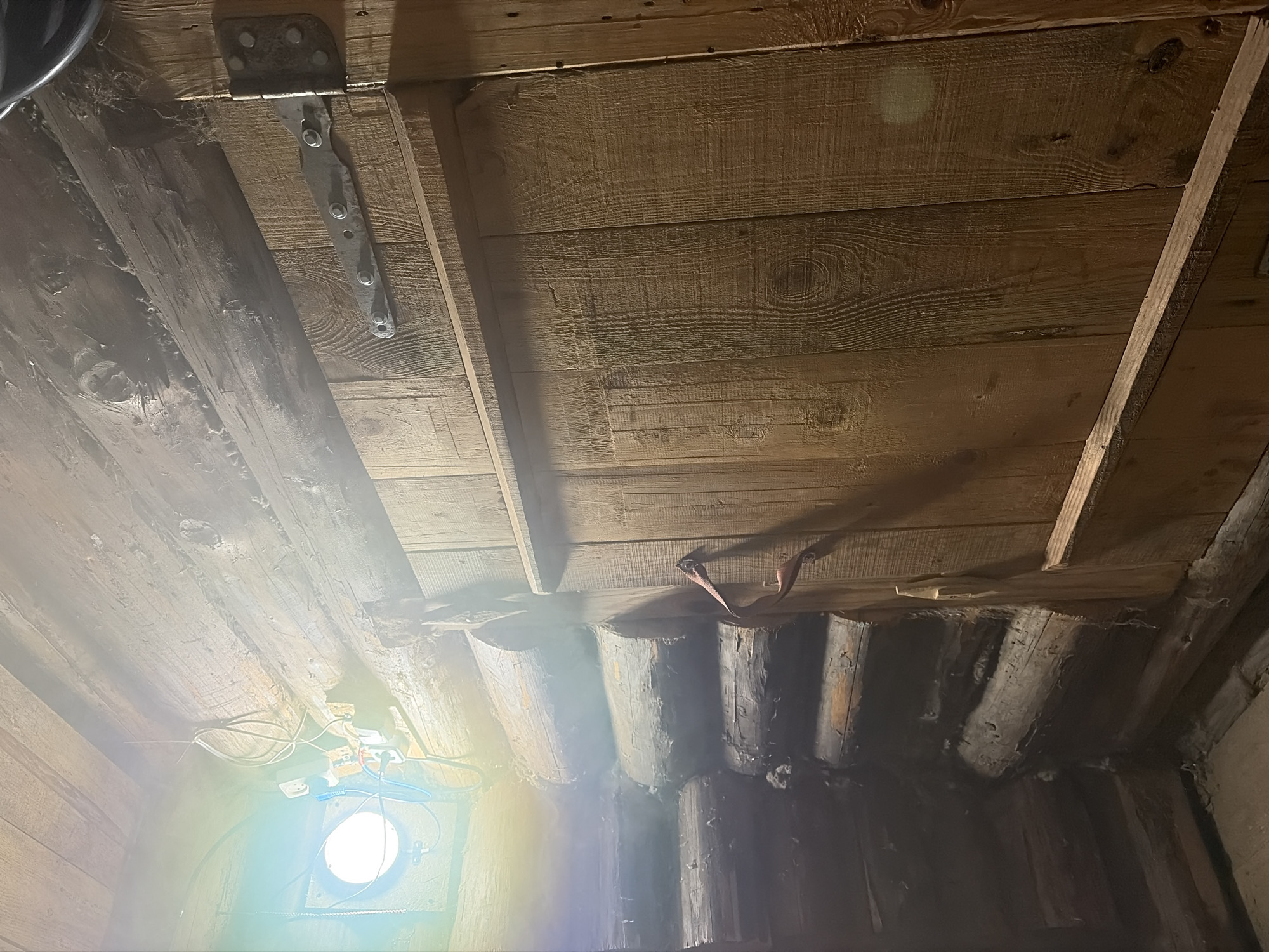 This image depicts the interior of what appears to be a basement or cellar in Кемуль, Russia. The visible structure is primarily wood. The walls are made of logs, with a board ceiling overhead. A hinged trapdoor is visible in the ceiling with a metal hinge. There is a light illuminating the scene, possibly coming through a small window. There is also some electrical wiring and equipment visible.