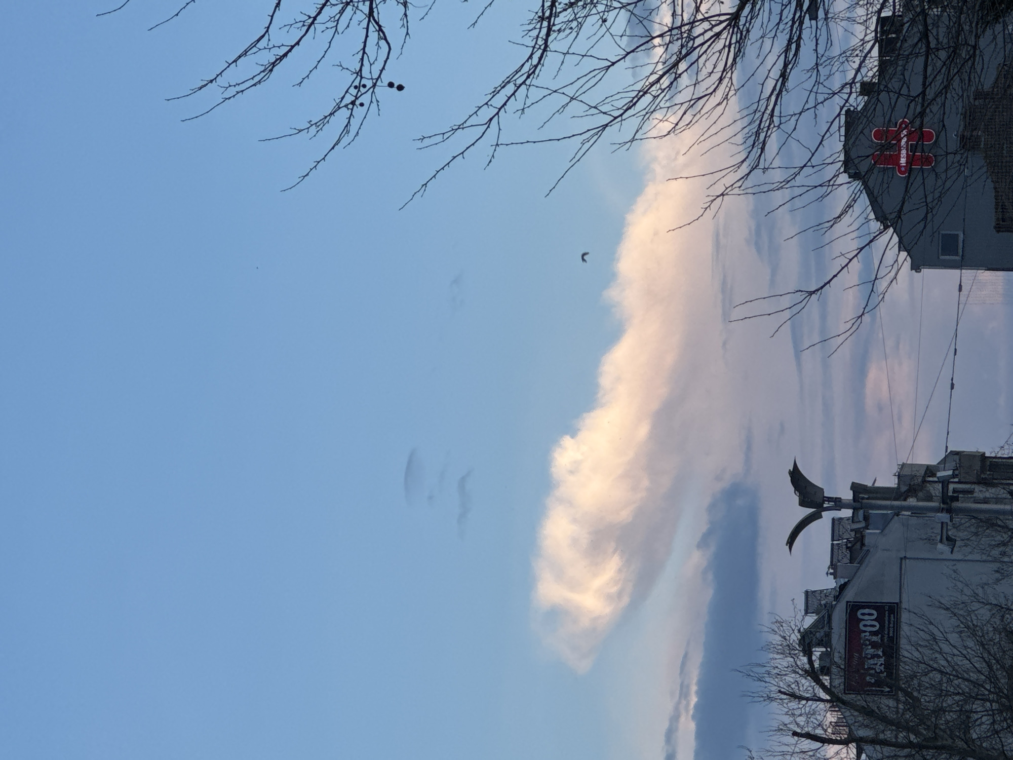 The image is a street-level view in Burgas, Bulgaria, showing a partly cloudy sky, bare tree branches, and buildings. A cloud formation extends vertically in the center. At the top-right is a building with a red "Hesburger" sign. Closer to the bottom-right, a building with a "Tattoo" sign is visible. A weather vane is on top of this building. The sky is blue, fading to lighter shades near the cloud formations.