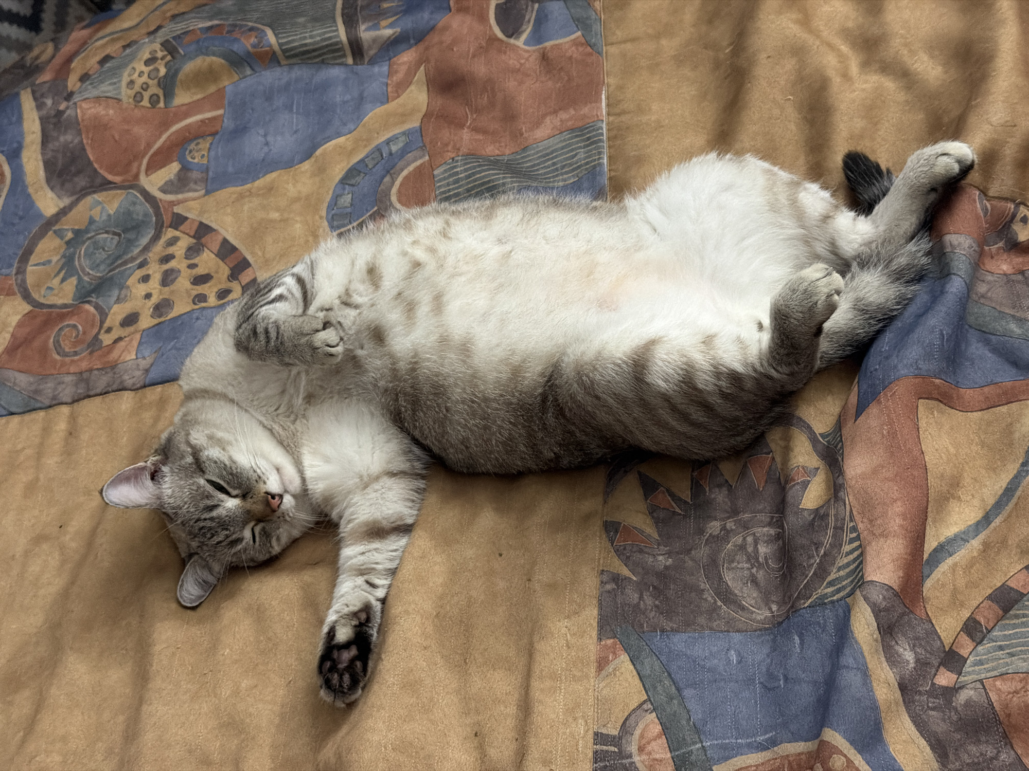 The image displays a relaxed grey tabby cat lying on its back, asleep or resting, on a patterned blanket. The cat's light-colored fur, with visible tabby stripes and a white belly, stretches across the frame. Its eyes are closed, and its paws are gently curled. The blanket beneath the cat features an intricate, abstract design in earthy tones of brown, gold, blue, and terracotta, with swirling patterns, dots, and linear motifs. The setting appears to be indoors, likely a comfortable spot such as a bed or sofa. The cat's posture and closed eyes convey a strong sense of peace and contentment. The location context provided is Perm, Russia. No text is visible in the media file.
