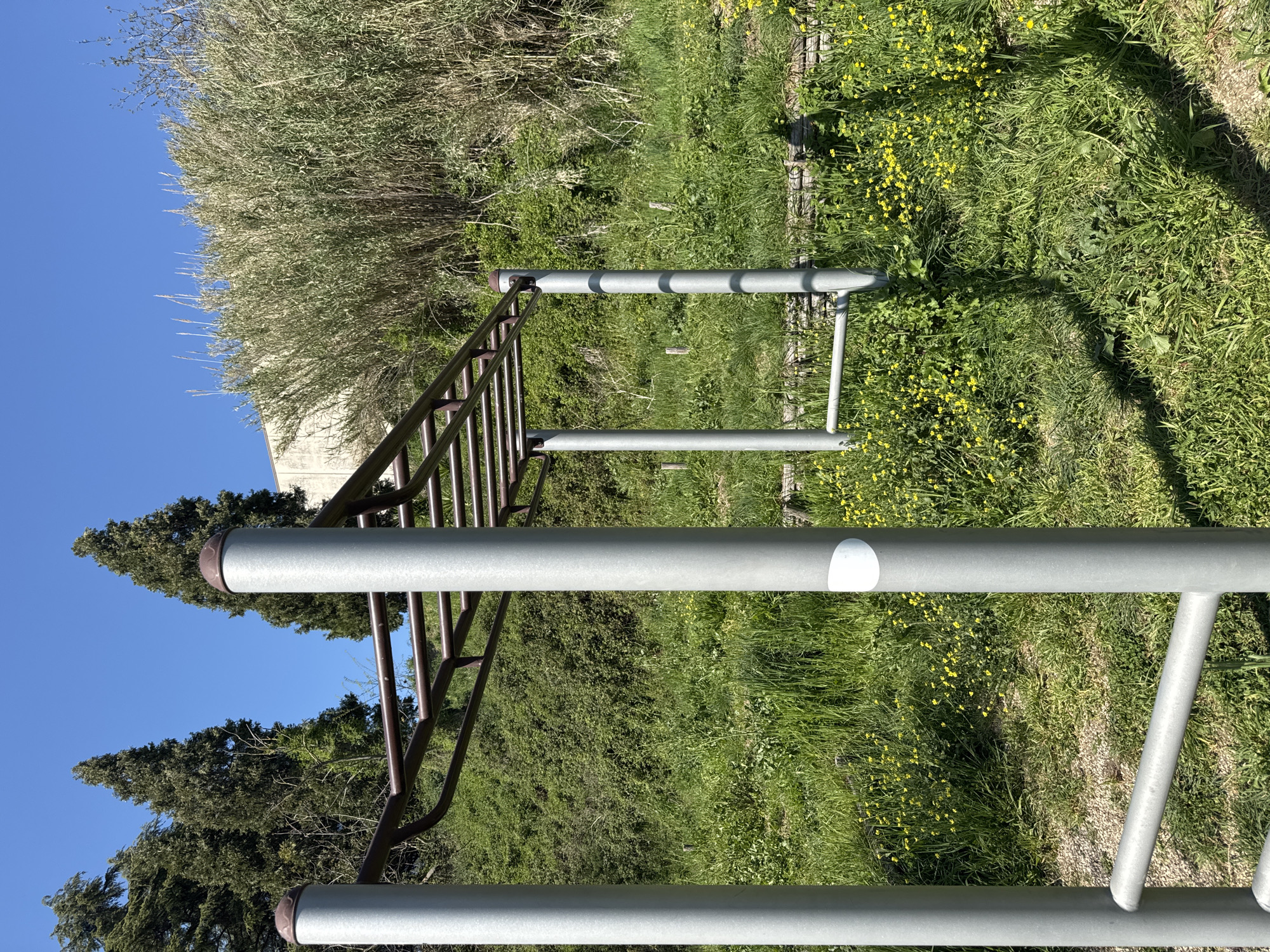The image depicts a metal structure, possibly part of an outdoor exercise area or playground. The structure consists of parallel bars and a ladder-like component, all seemingly made of metal. The ground surrounding the structure is covered in grass and small yellow wildflowers. There are also trees and shrubbery in the background, with a clear blue sky visible above. It is located in Morlupo, Italy. The scene appears to be outdoors, likely in a park or recreational area. No people are visible in the image.