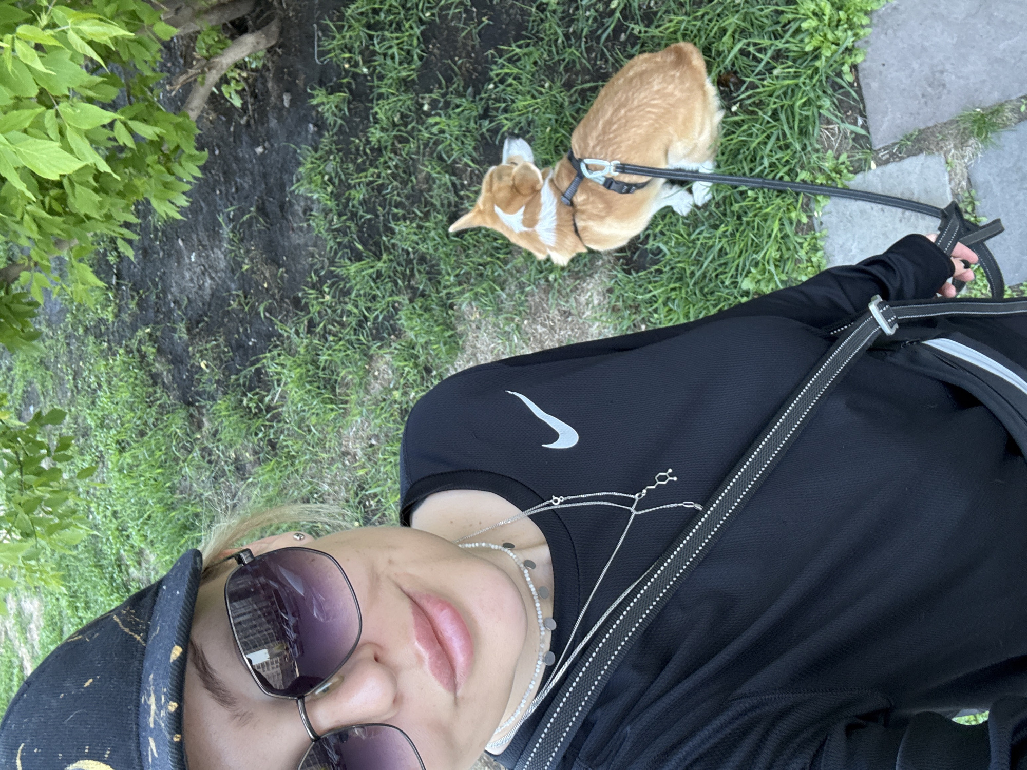 This high-angle, selfie-style image captures a person walking a small dog outdoors in Krasnoyarsk, Russia. The perspective is from the person looking downwards, showing their upper body, face, and the dog on the ground below.
The human subject is wearing a black long-sleeved top adorned with a white Nike swoosh logo on the left chest. They are also sporting large, dark-tinted sunglasses and a black cap with gold splatter patterns. Several layered silver necklaces are visible around their neck. The person's left hand is holding a black leash that extends towards the dog.
The animal subject is a small, light brown and white dog, resembling a Corgi, equipped with a black harness. The dog is positioned on a patch of green grass, slightly ahead and to the right of the person, facing away from the camera.
The environment is an outdoor green space, possibly a park or residential area. The ground is covered with vibrant green grass interspersed with patches of dark soil. Lush green leaves and branches from a tree are visible in the upper left corner, suggesting shade. A grey paved path or sidewalk runs along the right side of the frame.
The activity taking place is a leisurely walk with a dog. The scene is illuminated by natural daylight, indicating it is daytime. The overall mood appears calm and relaxed. The only visible text is the "Nike" logo on the person's shirt.