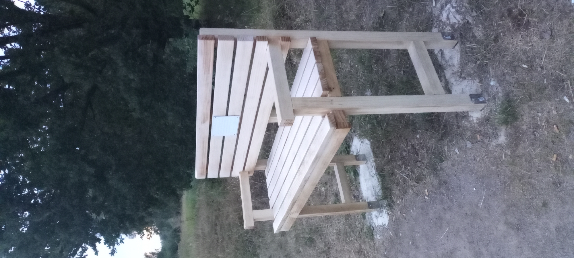 An unfinished wooden park bench is pictured outdoors, facing slightly left, with a square metal plaque attached to its backrest. The bench is constructed of pale, unfinished lumber, with a slatted seat and backrest, and plank armrests. It is supported by sturdy wooden legs that are anchored to the ground with metal brackets set in concrete. The bench is situated on a dirt path with sparse, dry grass and some scattered debris. In the background, a dense, dark green tree canopy dominates the scene, with a sliver of pale sky visible above the trees. The overall impression is one of a park or wooded area, possibly in a suburban or natural setting within Dortmund, Germany. There are no people or animals present in the image.