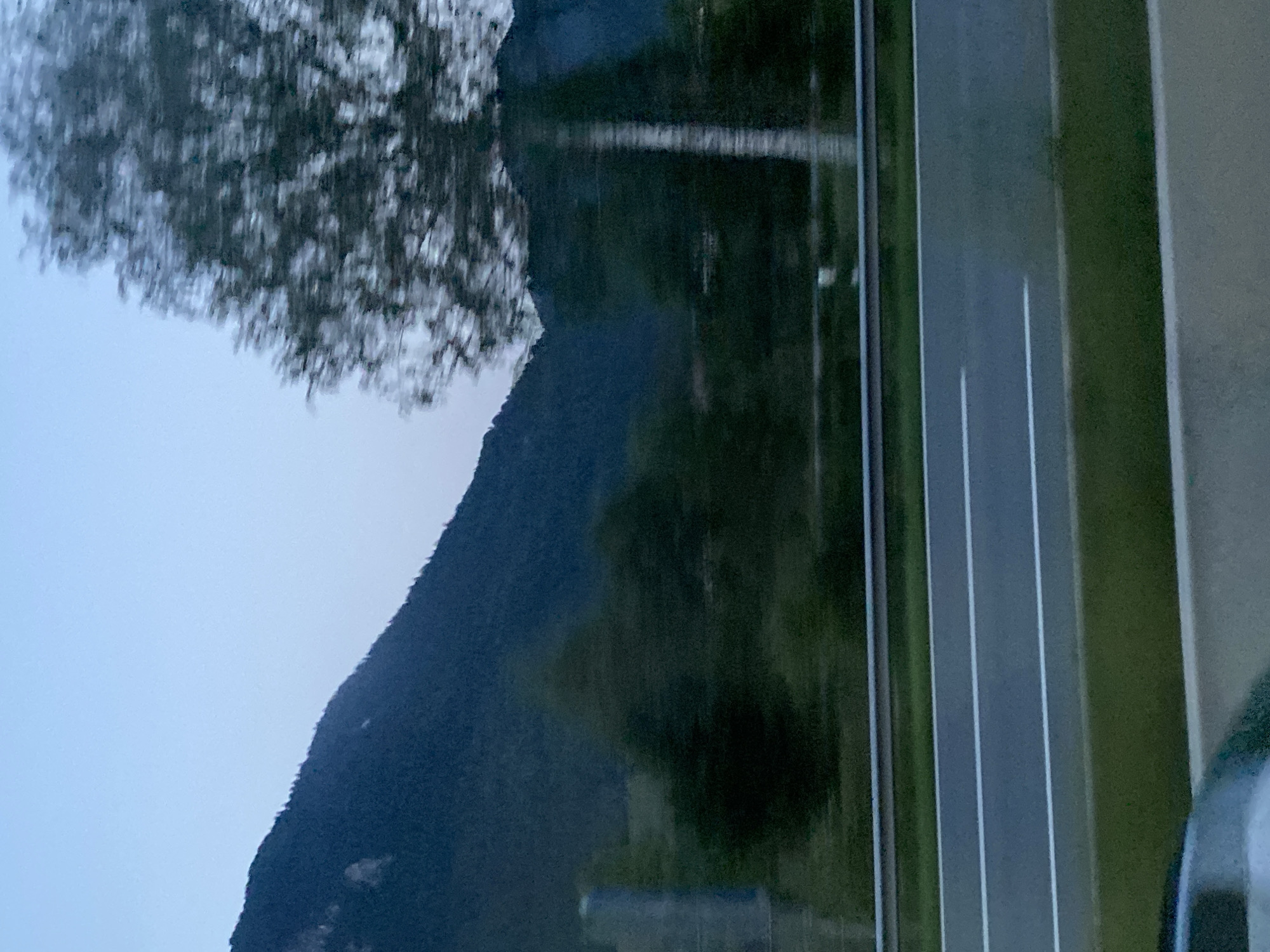 The image depicts a blurred view of a mountainous landscape and a highway, taken from a moving vehicle, likely in or near Oberaudorf, Germany. In the foreground, a highway with white lane markings is visible. Beyond the highway, a dark green grassy area separates it from a row of trees, which are also blurred due to motion. Further in the background, a large, dark, forested mountain slope dominates the left side of the frame, reaching towards a clear, pale blue sky. On the right side of the frame, a tall tree with a pale trunk and dark, indistinct foliage is prominently featured, also blurred by movement. The overall impression is of a landscape encountered during a journey on a highway, under twilight conditions.