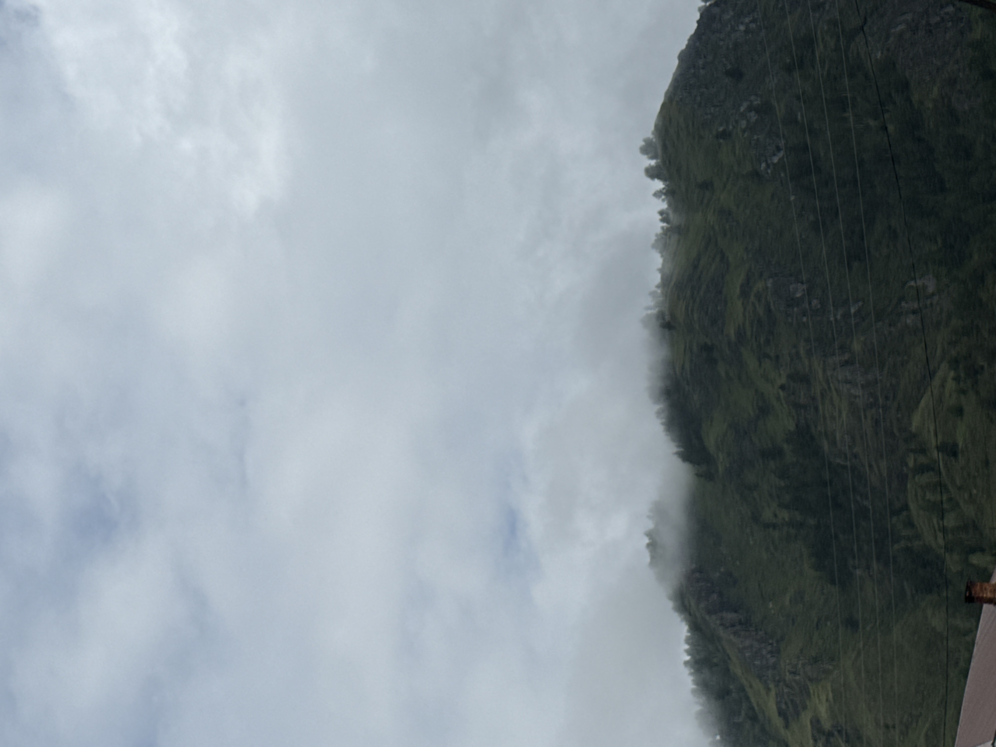 This image captures a misty mountain landscape in Chemal, Russia. The foreground features the upper portion of a building with a reddish-brown roof and a brick chimney. Extending upwards from the roofline are several dark horizontal power lines. The main subject of the image is a lush green mountain, its slopes covered in dense vegetation and scattered trees, particularly along the ridge line. Wisps of fog or low-lying clouds cling to the upper parts of the mountain, partially obscuring the treeline and giving the scene a serene, ethereal quality. The sky above is overcast with a uniform layer of light gray clouds.