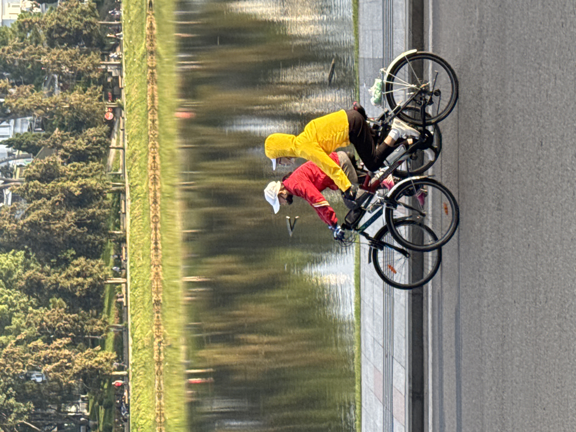 Two individuals are cycling along Xuan Huong Lake in Da Lat, Vietnam. The person in front is wearing a red jacket and a white cap, while the person behind is wearing a yellow hooded jacket. Both are on bicycles, with the rear bicycle carrying a green bag. The scene depicts a bright, sunny day, with the lake reflecting the surrounding trees and buildings. The path beside the lake is paved with stone tiles and bordered by a curb. In the background, lush green trees line the embankment, and a few distant figures can be seen walking. The overall impression is one of a peaceful, recreational outing in a scenic urban environment.