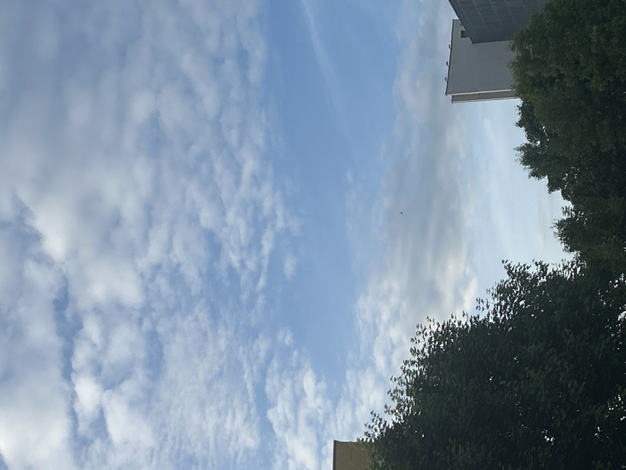 An outdoor, low-angle shot captures a clear blue sky with scattered white clouds. The upper right portion of the frame features the corner of a modern, gray building with a geometric design, and a sliver of a dark gray building to its right. Below these structures and dominating the left and bottom portions of the image are lush green trees. A small, dark object, possibly a drone or a bird, is visible in the middle of the sky.