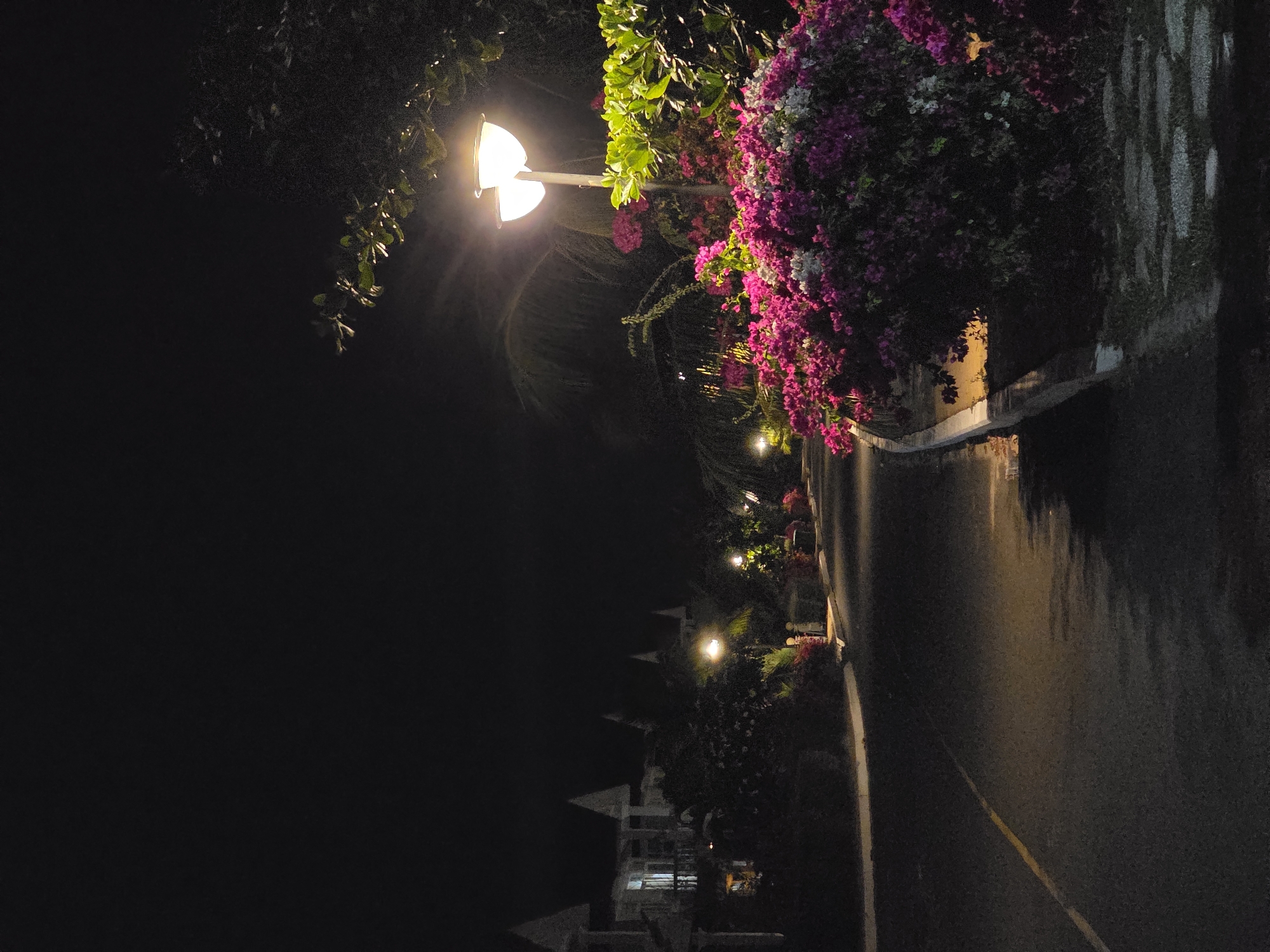 This vertical shot depicts a brightly lit street or pathway at night, likely in a resort or residential area in Phú Thủy, Vietnam. The dominant feature in the upper right is a street light, casting a warm, bright glow onto its surroundings. Lush foliage and vibrant pink and white bougainvillea flowers cascade from an elevated position along the right side of the path, beautifully illuminated by the lamp.
The paved road or path occupies the lower half and extends into the distance. A solid white line marks the edge of the path on the left, while a yellow dashed line runs further inward. The road surface appears dark and speckled, with reflections of light visible. Further down the path, more street lights create pockets of illumination, guiding the eye into the depth of the scene.
On the left side of the road, partially obscured by darkness and distant lighting, are several buildings with distinctive gabled roofs. These structures suggest houses or accommodations lining the thoroughfare. The sky is completely dark, indicating a clear night. No people or vehicles are visible, contributing to a serene and tranquil atmosphere. The scene highlights the contrast between the artificial light and the natural darkness, with the colorful flowers adding a lively touch to the nighttime landscape. There is no visible text in the image.