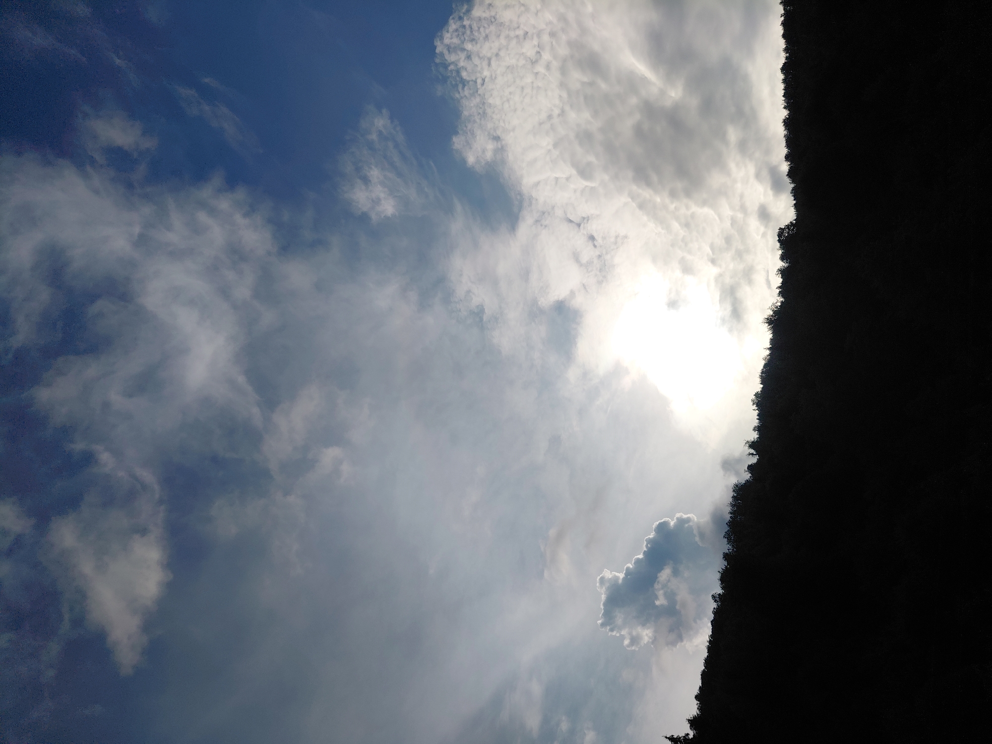 The image shows a silhouetted tree line against a dramatic sky with clouds and the sun peeking through. The foreground is completely dark, obscuring any details of the land or any potential subjects. The sky is a mix of deep blue and lighter, cloud-filled areas. The sun is a bright, hazy orb, partially obscured by clouds. There are no people or visible objects in the image. The image does not provide any information or visual cues that would associate it with the city of Chernyk, Ukraine.