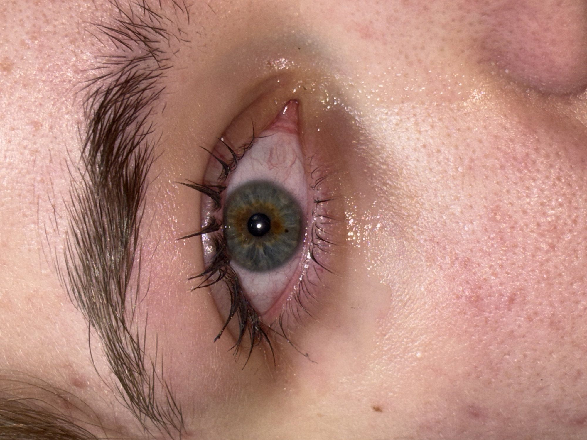The image is a close-up of a person's eye, likely female based on the long eyelashes with mascara. The eye has a grey-green iris with a visible pupil. The surrounding skin is pale and textured with pores, possibly showing signs of perspiration or a glossy cosmetic product. The eyebrow is thick and dark. There is no indication of the location being Perm, Russia, or any other specific location. The setting is unclear and could be indoors or outdoors, but the lighting suggests an artificial light source.