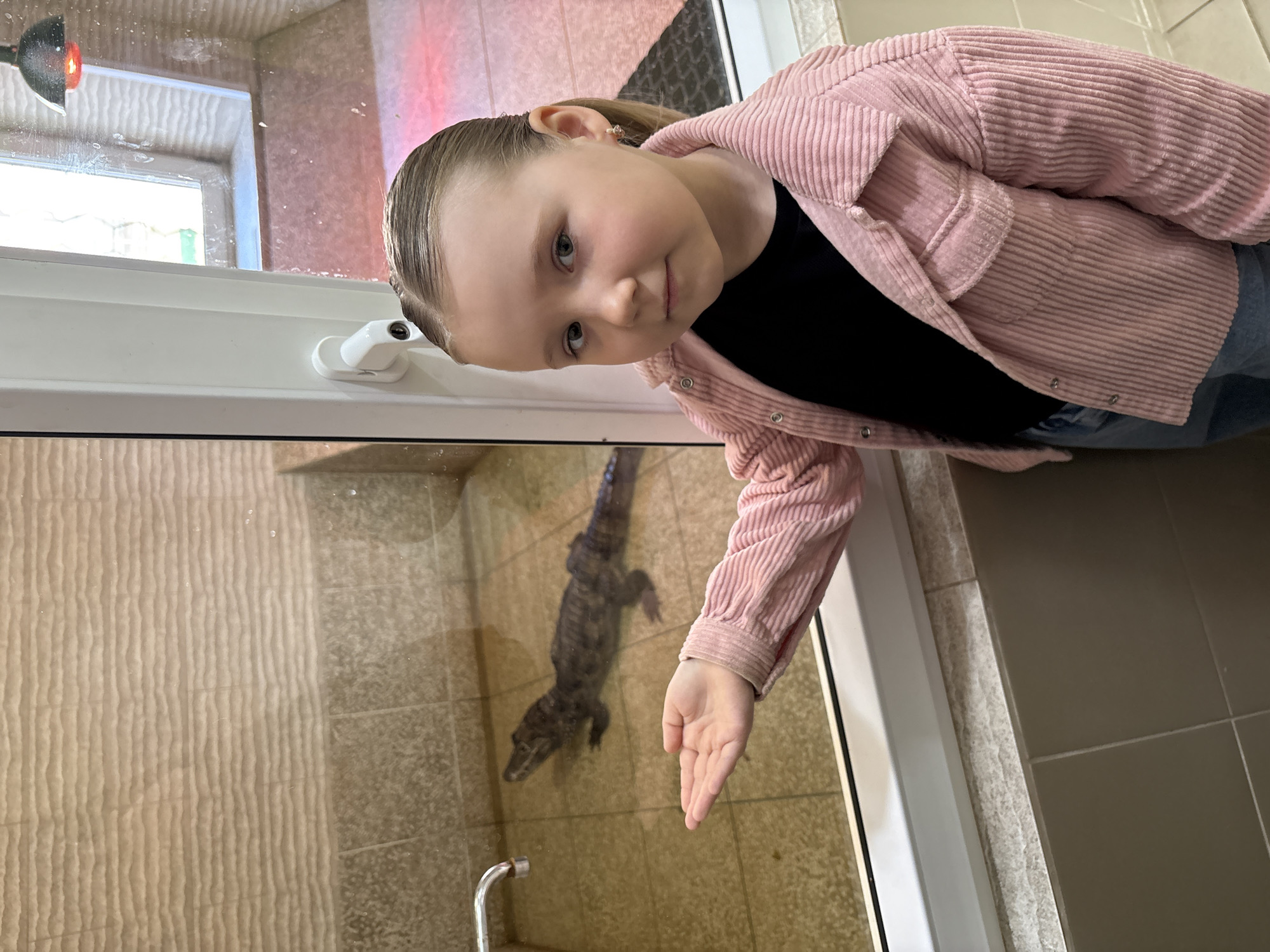 A young girl is looking into an enclosure containing a crocodile at an unknown location in the city of Chaikovsky, Russia. The girl is light-skinned with blonde hair pulled back into a ponytail. She is wearing a black shirt and a light pink corduroy jacket. She is holding her hand near the glass enclosure. Inside the enclosure, a juvenile crocodile is visible in shallow water. The enclosure has tile walls and flooring. A metal faucet is visible in the lower left corner of the enclosure. The background shows what appears to be a window with natural light coming through. A spotlight is also visible in the upper left corner of the window area. A brown tiled floor is visible to the right of the enclosure.