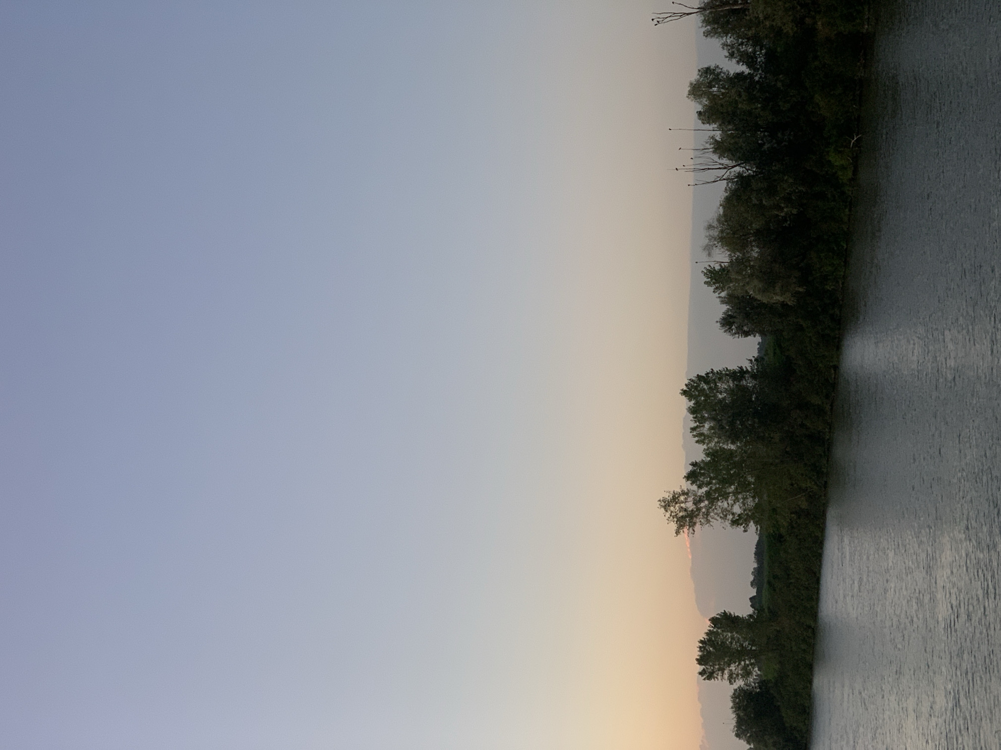 The image shows a wide river in Massenzatica, Italy, with a treeline along the far bank. The sky is clear with a gradient of pale blue to a faint orange at the horizon, suggesting it is either dawn or dusk. The water is calm and reflects the muted colors of the sky. The treeline consists of dense foliage with several taller trees interspersed, some of which have birds perched on their branches. There are no people or man-made structures visible on the river or the bank. The overall atmosphere is serene and natural.