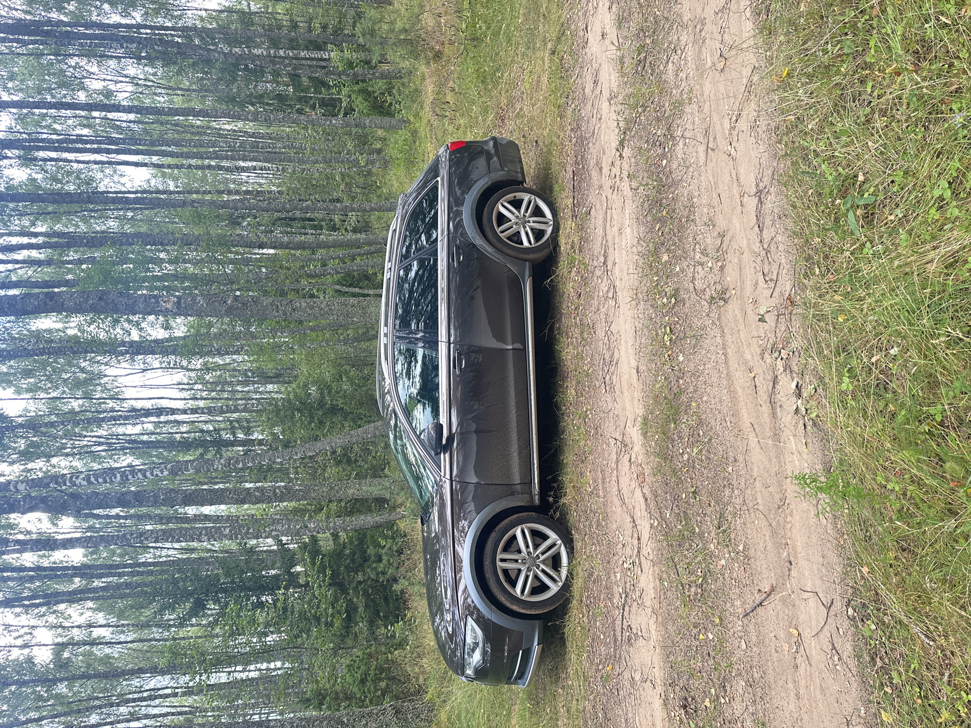The image depicts a dark grey Audi A6 Allroad wagon parked on a dirt path in a birch forest. The car is positioned to the left of the frame, with its side facing the camera. The forest is dense with tall, slender birch trees that have white bark and dark markings. The ground is covered with a mix of dirt, dry leaves, and grass. The overall impression is a natural, secluded environment. The location is identified as Sesniki, Estonia, which is consistent with the type of forest and landscape shown. There are no people or animals visible in the image.