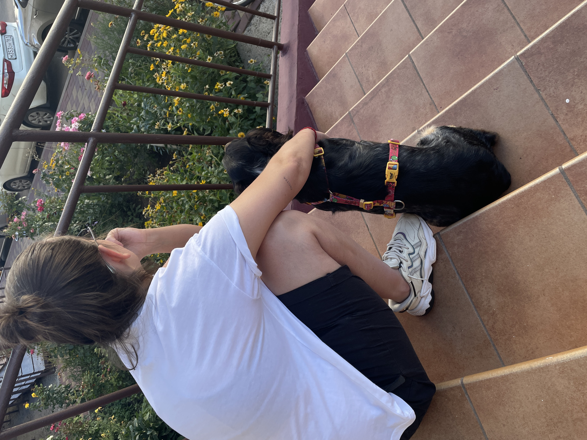 A person with long brown hair, wearing a white t-shirt and black shorts, is squatting on a tiled staircase. The person is seen from behind, looking towards a black dog sitting beside them. The dog is wearing a colorful harness. In the background, there are flowers and parked cars, with a license plate visible on one of them reading "M353OH 161". This license plate format is consistent with Russian license plates. The environment appears to be an outdoor setting in a city.