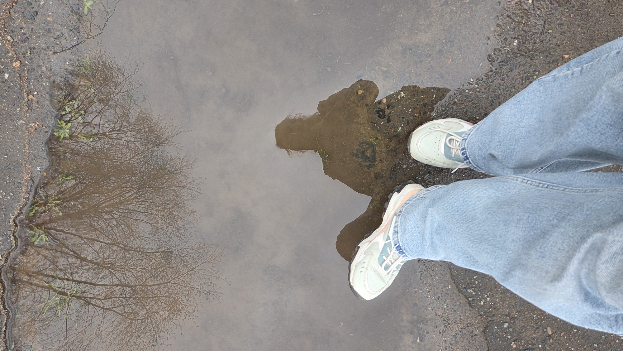 The image captures an overhead view of a person standing over a large puddle on what appears to be a paved surface, likely asphalt or concrete, in Chaikovsky, Russia. The person's lower legs, clad in light blue loose-fitting jeans, are visible from the knees down, extending into the frame from the top right and bottom right corners. They are wearing light blue/mint green and white sneakers with visible orange accents on the soles.
The dominant feature is the reflective surface of the puddle, which occupies most of the left and central parts of the frame. The murky water clearly reflects a bare tree with a dense network of branches, suggesting late autumn, winter, or early spring. Hints of green foliage are also reflected along the puddle's edge, indicating some ground cover or small plants.
Furthermore, the puddle reflects the upper body and head of the person taking the photo, showing their silhouette with discernible long hair. The reflection is somewhat distorted and indistinct due to the water's surface, but the form is clear. The reflection also includes a hint of a cloudy or overcast sky.
The activity depicted is a person pausing to observe and photograph their reflection and the surroundings in the puddle. The weather appears to be overcast, and the presence of the puddle indicates recent rain or melting. No visible text is present in the image. The scene evokes a quiet, reflective moment in an urban or suburban setting.