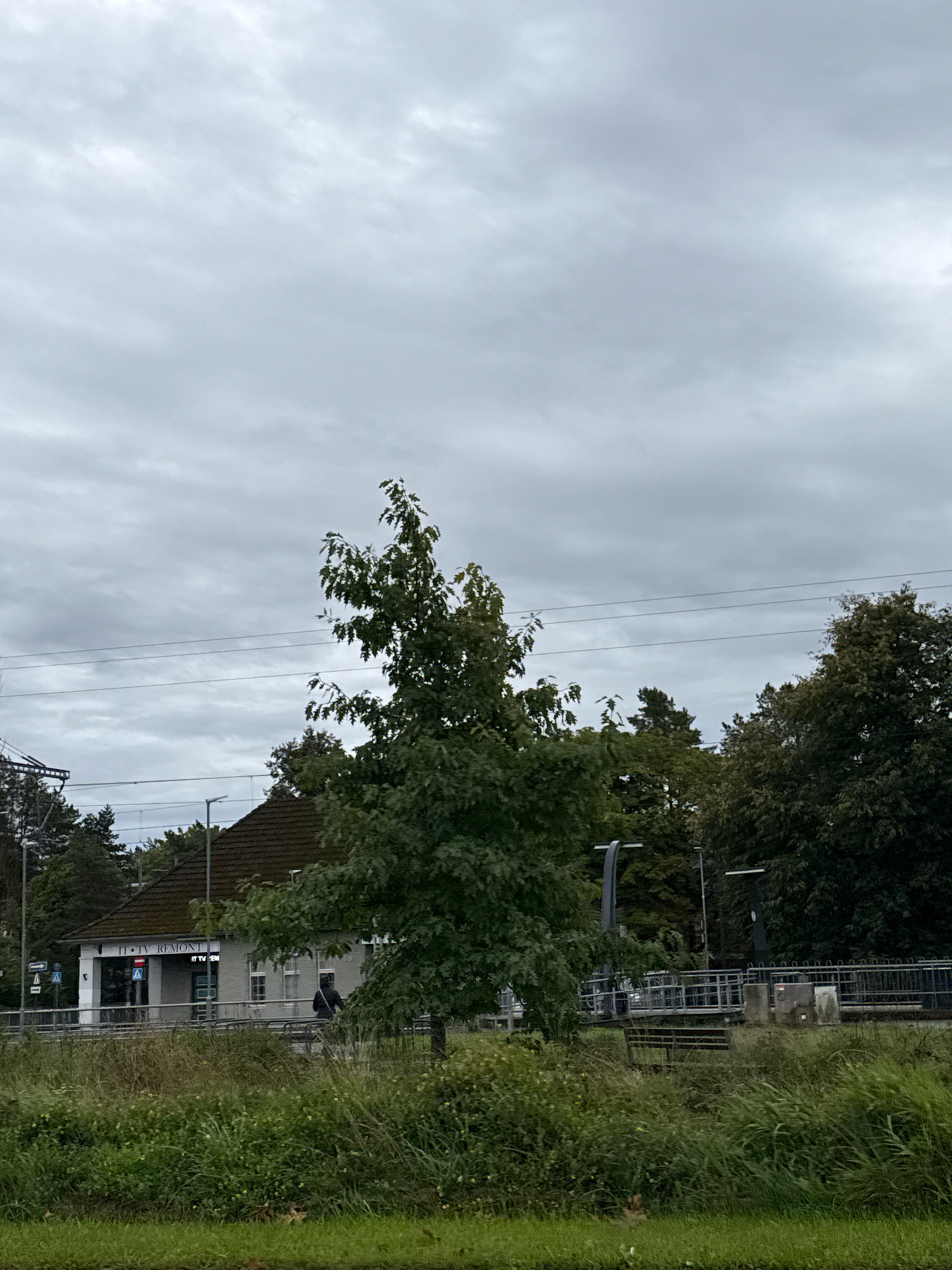 The image depicts a cloudy day scene with a small building, trees, and a body of water. The building, which appears to be a small commercial establishment with signage reading "TV REMONT", is situated in the background. In the foreground, lush green grass and vegetation are visible, bordering the water. A solitary figure, dressed in dark clothing, is walking past the building. Several trees of varying heights and densities are scattered throughout the scene, with power lines stretching across the sky. The overall impression is a serene, somewhat overcast day in an urban or semi-urban environment.