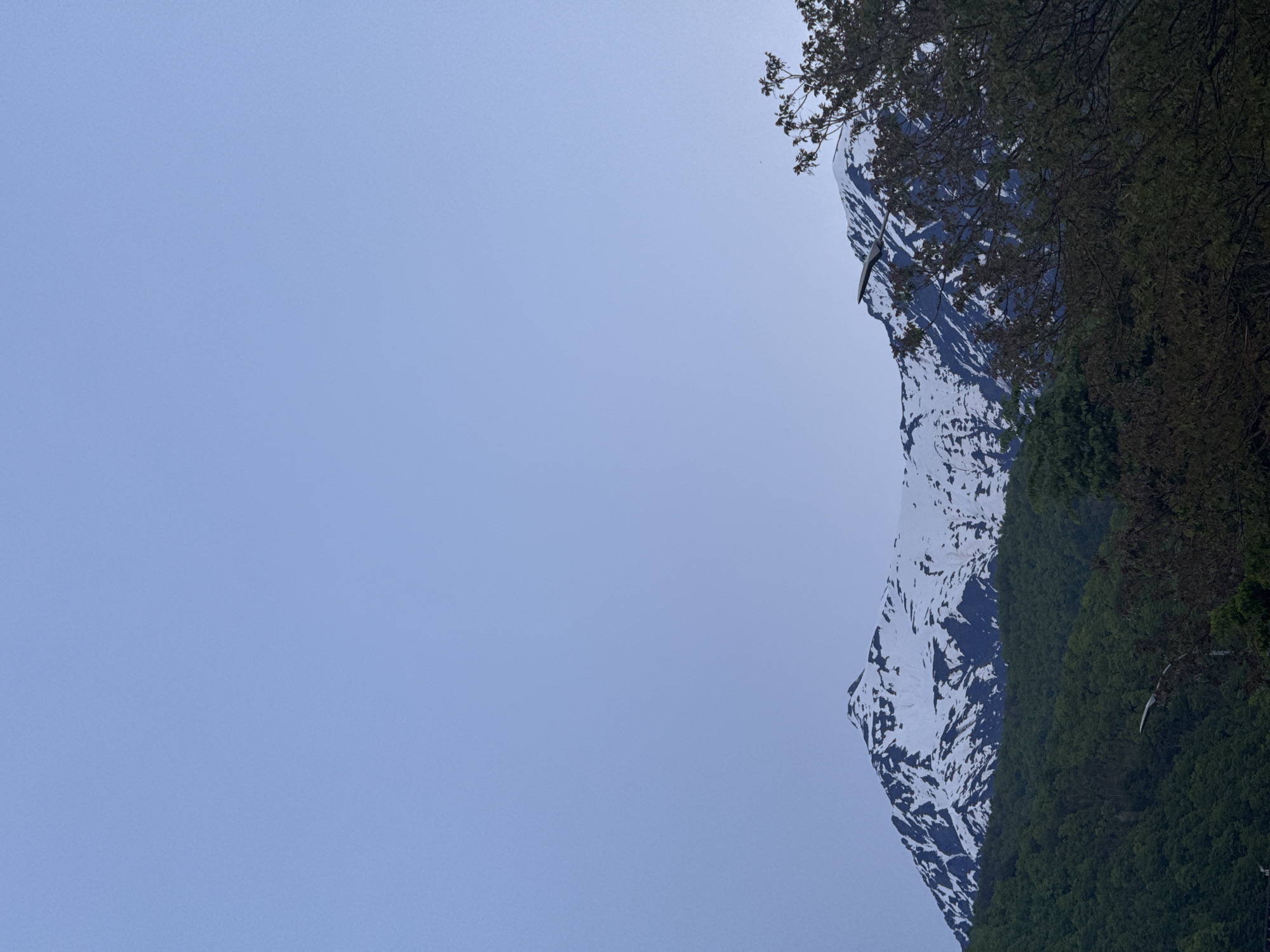 The image shows a snow-capped mountain in Krasnaya Polyana, Russia, partially obscured by trees on the right. The left side is a clear, blue sky. Two birds are visible near the forest on the right.