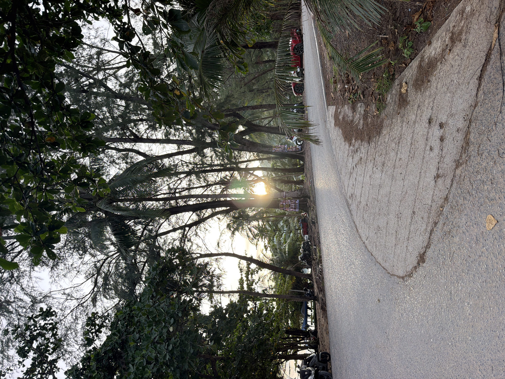 A paved road curves through a coastal area with abundant trees, including palms, in Rawai, Thailand. The sun shines brightly through the trees, casting a warm glow on the scene. Several parked motorcycles and a red car are visible along the side of the road. In the distance, a tent is set up near the beach. The environment suggests a tropical location.
