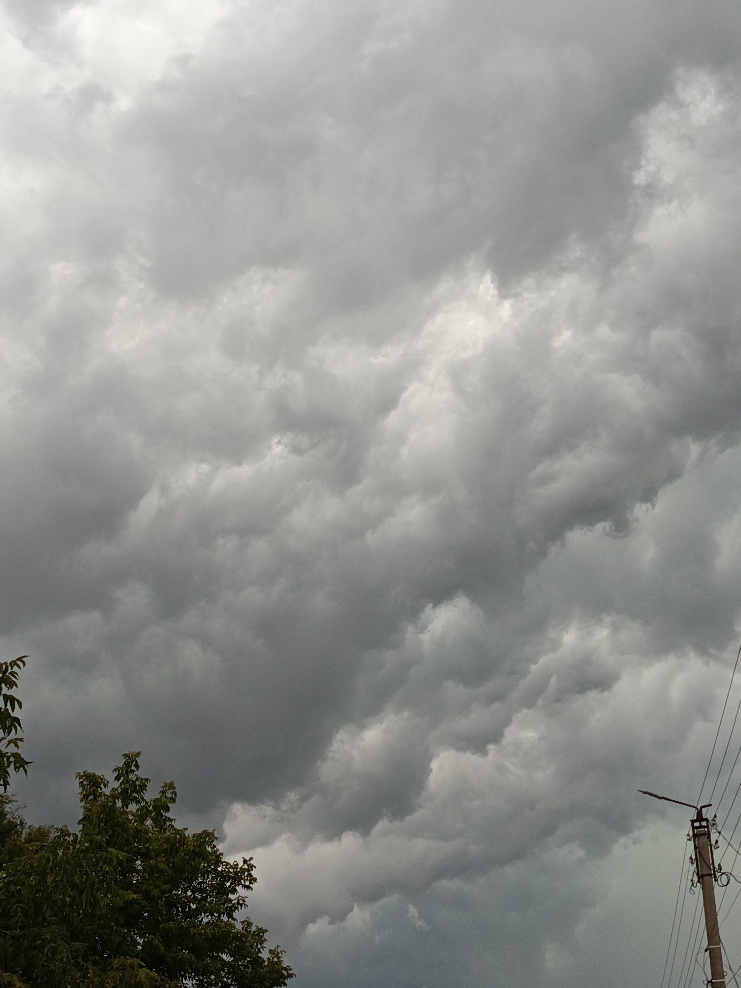 The image depicts a cloudy sky with a tree and a utility pole in the foreground. The clouds are dark and appear to be gathering, suggesting the possibility of rain. The tree is green and leafy, and the utility pole has wires attached to it. The scene is set in the city of Smila, Ukraine. There are no people or actions visible in the image.