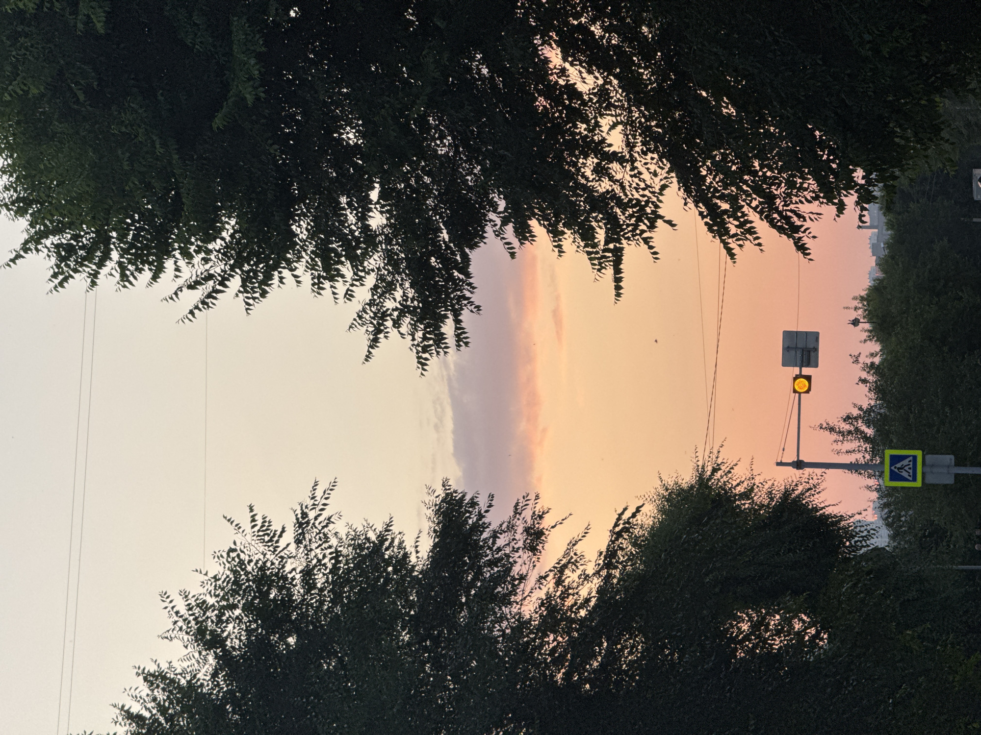 This image captures a serene sunset scene in Krasnoyarsk, Russia. The sky displays a soft gradient of pale yellow and peach hues, with a wispy lavender cloud formation adding a touch of color. Silhouetted against this backdrop are the dense, dark green canopies of two large trees framing the sky. One tree is on the left, and the other is on the right, creating a natural frame. Below the trees, a traffic light is visible, displaying a yellow signal, indicating caution. Adjacent to the traffic light, a pedestrian crossing sign, a blue square with a white pedestrian symbol, is mounted on a pole. The surrounding environment appears to be a city street, with other trees and distant buildings faintly visible on the horizon. The image has a tranquil, almost painterly quality, enhanced by the soft light of dusk.