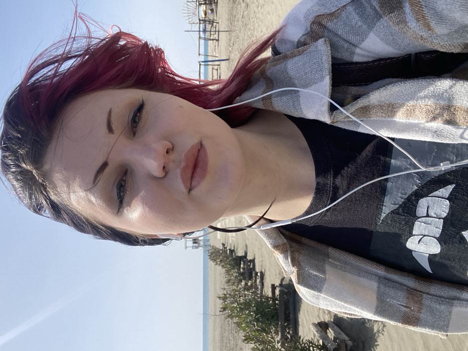 An outdoor image depicts a female individual in the foreground, taking a selfie on a sandy beach under clear, bright blue skies. The subject is a young adult female with light skin, dark hair on her left side, and windblown magenta hair on her right side. She wears dark eyeliner, has full lips with a subtle pout, and looks directly at the camera. Her attire consists of a black t-shirt featuring a light-colored graphic (identifiable as a Metallica logo) and an unbuttoned plaid shirt in light grey, white, and brown tones. White wired earbuds are visible, with wires extending down her chest.
Behind the subject, a wide expanse of sandy beach stretches towards the calm, light blue sea under a clear sky. In the mid-ground to the left, a linear arrangement of low green bushes is contained by horizontal wooden logs or barriers, running parallel to the shoreline. Further along this line, a white two-story lifeguard tower is visible. To the right in the background, several basic structures made of wooden poles and fabric, likely frames for sunshades or rudimentary cabanas, are present on the sand near the water. One structure exhibits a semi-circular wooden frame at its peak. The scene is brightly illuminated by natural sunlight.
This location is identified as Velika Plaža (Long Beach) in Ulcinj, Montenegro.