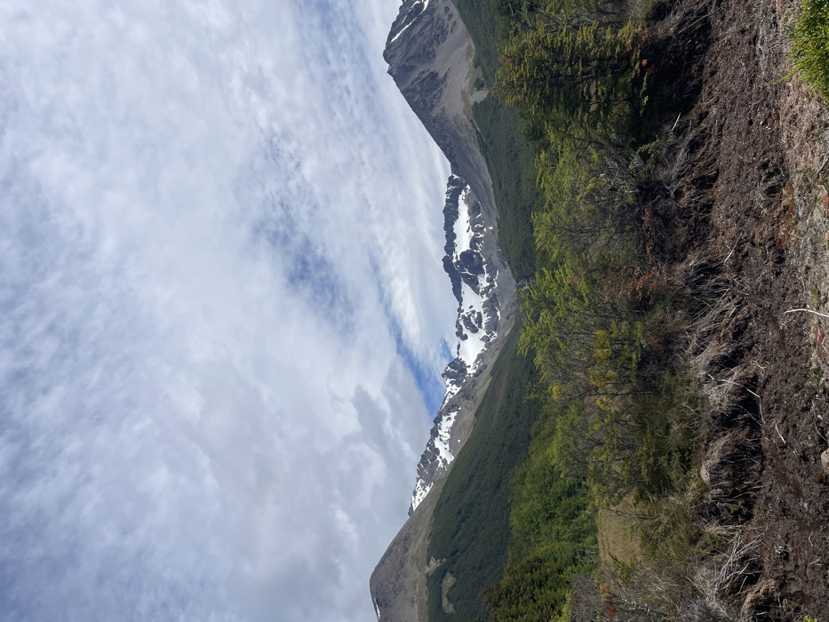The image depicts a mountainous landscape in Ushuaia, Argentina, under a partly cloudy sky. The upper two-thirds of the frame are occupied by a light blue sky interspersed with white and grey stratocumulus and cirrus clouds. In the background, a range of mountains rises, featuring three prominent peaks. The left and right peaks are primarily grey-brown rock with dark green evergreen forests covering their lower slopes. The central mountain range displays significant patches of white snow on its upper, rugged sections, transitioning to dark rock and dense green forest below. The mid-ground is dominated by a thick band of diverse deciduous and evergreen shrubs and small trees, exhibiting various shades of green, with some foliage displaying hints of yellow. The immediate foreground consists of dark, disturbed earth or mud, partially covered by dry, matted grass and exposed roots along an elevated bank. No people, animals, or man-made structures are visible.