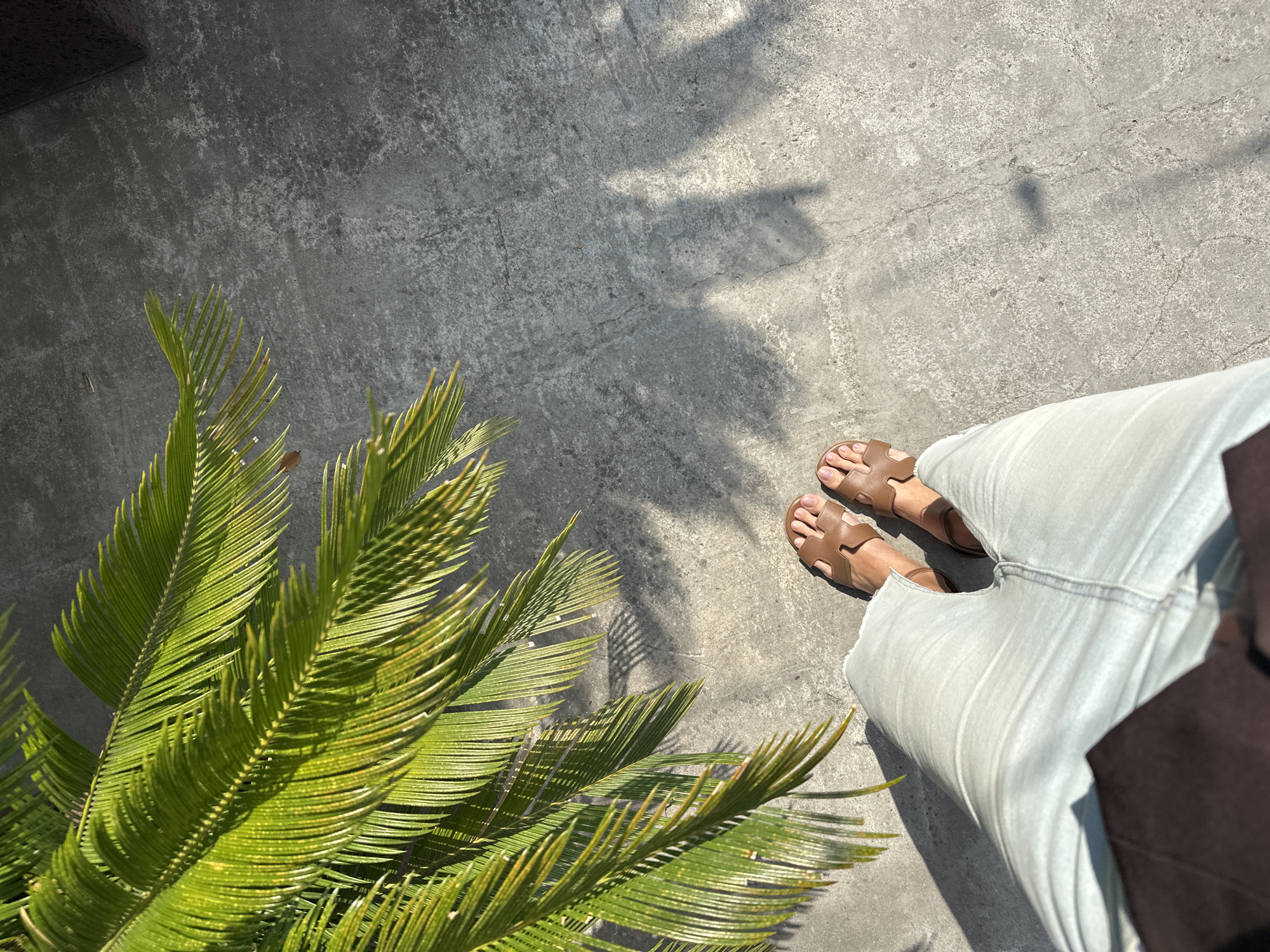 This media file features a top-down view of a person's legs and feet, clad in light-colored pants and brown sandals, standing on a textured concrete surface. A vibrant green palm frond is prominently positioned in the lower left quadrant of the frame, its leaves casting dappled shadows on the ground. The scene is illuminated by bright sunlight, creating distinct shadows from the palm frond and possibly other unseen elements, suggesting it is daytime. The concrete appears weathered, with some lighter patches and darker lines indicative of cracks or joints. The overall mood is casual and relaxed, possibly hinting at an outdoor setting like a patio or walkway in a warm climate. While the specific location context is Sochi, Russia, there are no explicit visual cues within the image to confirm this. No text is visible in the media file.