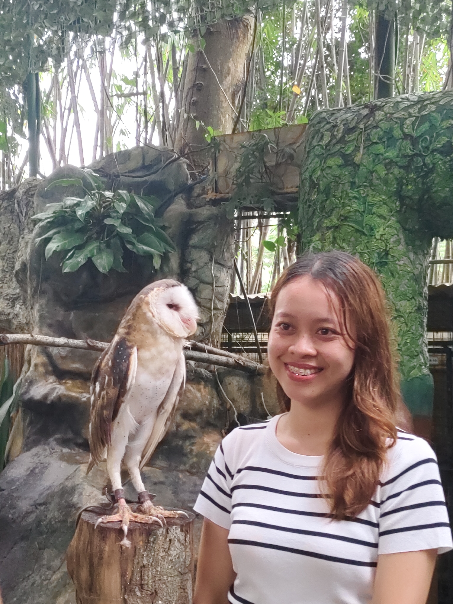 A young woman with long, brown hair and braces smiles at the camera, standing to the right of a barn owl perched on a tree stump. The owl, with its distinctive heart-shaped facial disk and speckled plumage, is facing left. The background features a rocky enclosure with lush green foliage and bamboo stalks, suggesting an aviary or zoo setting. The woman is wearing a white t-shirt with horizontal black stripes. The scene appears to be outdoors, with natural light filtering through the vegetation.