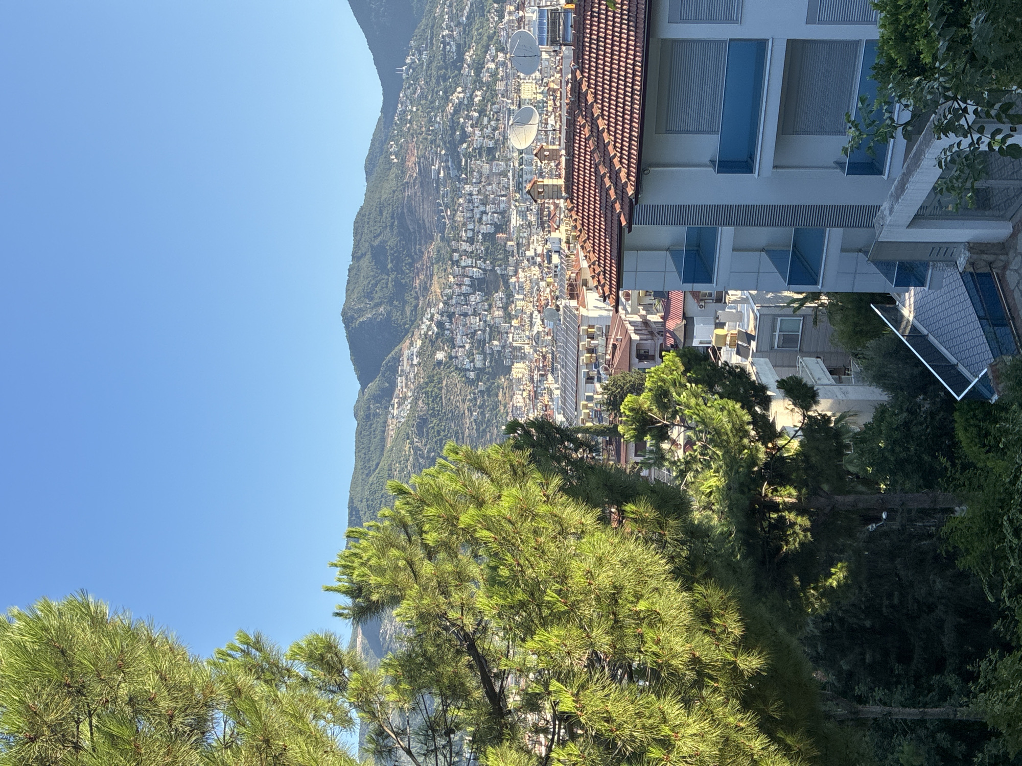 The image captures a scenic view of Alanya, Turkey, looking towards the city and the mountainous backdrop. In the foreground, a large pine tree with bright green needles partially obstructs the view, its branches reaching towards the clear blue sky.
Below the tree, a cityscape unfolds. Buildings with red tiled roofs are densely packed, indicating an urban environment. Some buildings feature modern architectural elements, such as balconies with blue glass railings, visible on a white building in the lower right quadrant of the image. Satellite dishes are prominent on some rooftops, suggesting residential or commercial use.
The city extends up the slopes of rolling green hills that form the background. Terraced slopes are visible on the mountainside, hinting at human cultivation or development. A few scattered white buildings are discernible on the upper slopes, and a distant white structure resembling a minaret can be seen, suggesting the presence of a mosque.
The scene is bathed in the warm light of what appears to be late afternoon or early morning sun, casting soft shadows and highlighting the vibrant colors of the foliage and architecture. The overall impression is one of a sun-drenched coastal city nestled against a majestic natural landscape. No people are visible in the image.