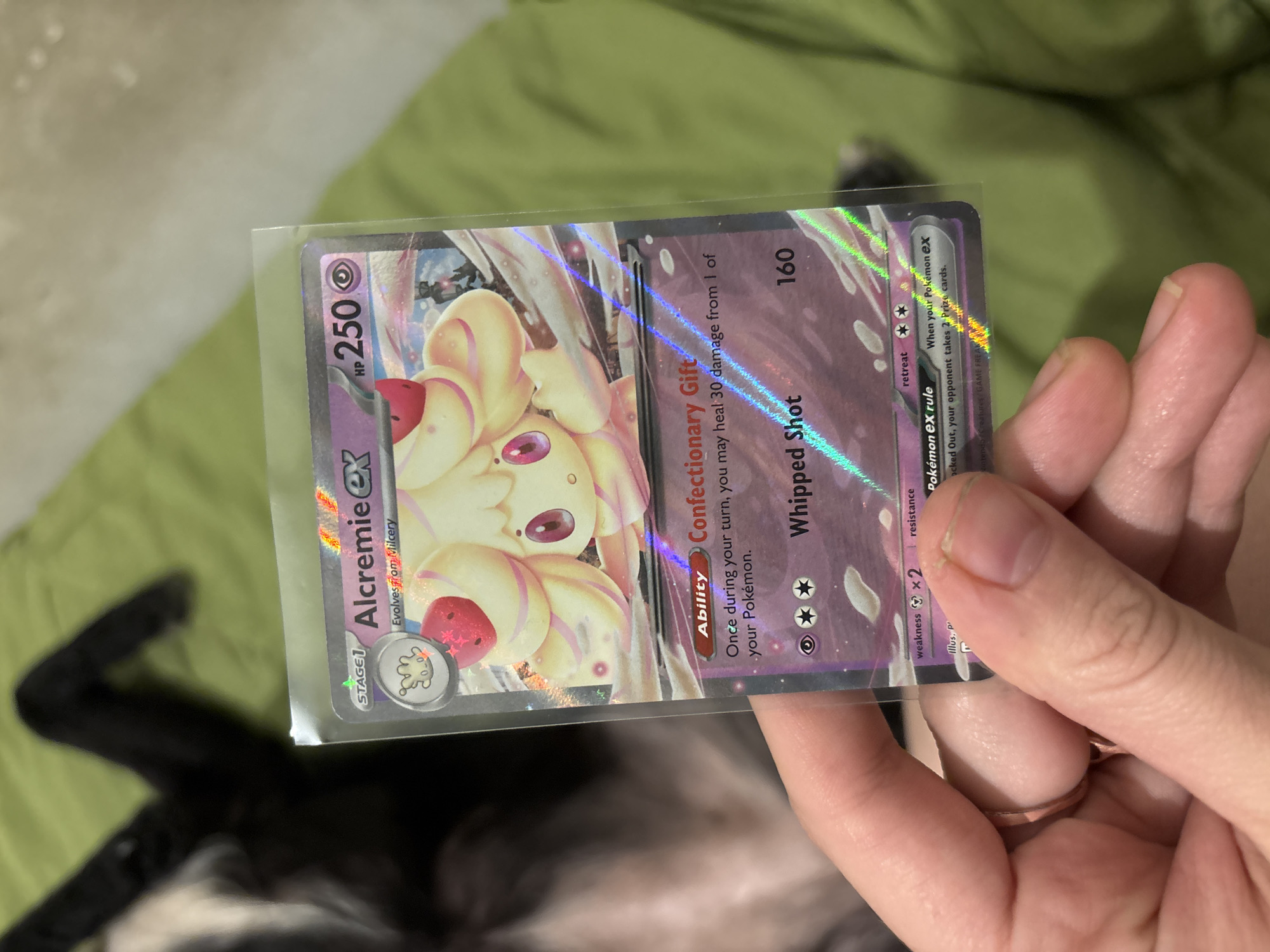 The image shows a person holding a holographic Alcremie ex Pokémon card in a protective sleeve. The card is partially rotated, showing its front side with the Alcremie character. The card indicates it is a Stage 1 card, evolving from Milcery, with 250 HP. The card details its ability, "Confectionary Gift," and an attack called "Whipped Shot" which does 160 damage. The background includes a green, possibly textured, fabric and a blurry image of a black object, likely a dog. The person holding the card is visible through their fingers and a simple metal ring on their finger.