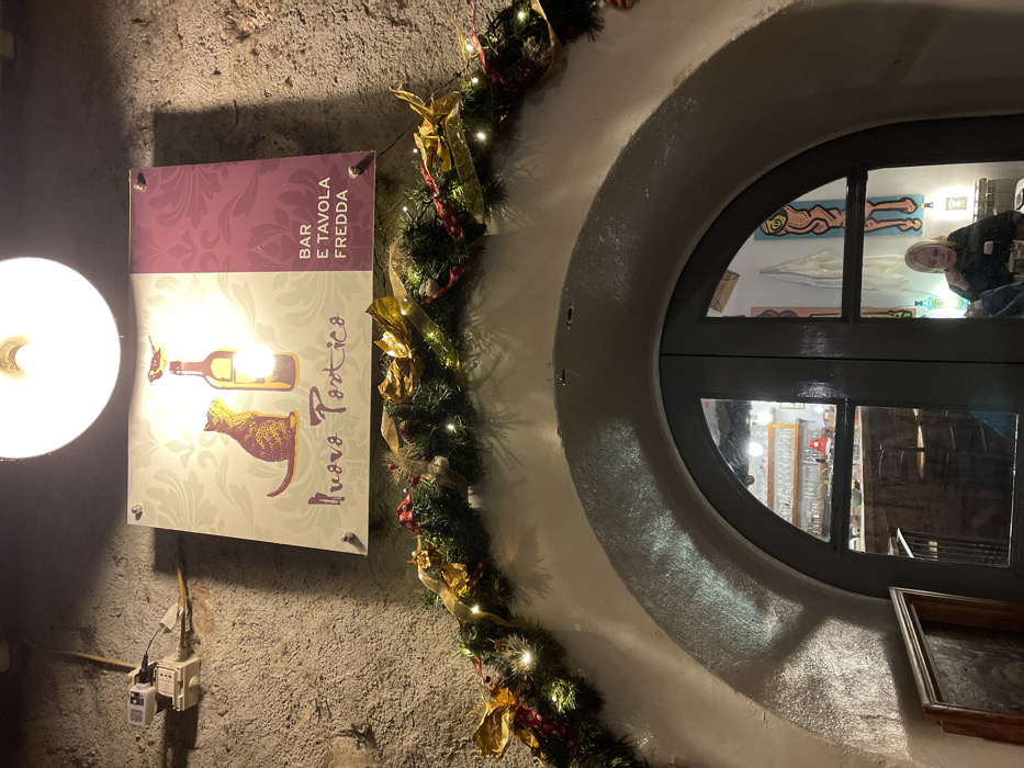 The image shows a vertically oriented view of an illuminated building exterior, likely a bar or restaurant, in Sondrio, Italy, during nighttime. On the far left, a bright, circular light fixture casts light onto a rectangular sign. The sign features an illustration of a brown cat looking towards a red wine bottle. Text on the sign reads "BAR E TAVOLA FREDDA" (Bar and Cold Table) in vertical alignment, and "Nuovo Portico" horizontally below the illustration. Below the sign, an electrical outlet with a white plug-in device is visible on the textured wall.
A festive evergreen garland, adorned with small white lights and golden bows, runs vertically down the center of the frame, separating the sign from a large round window on the right. The dark-framed round window reveals the interior of the establishment, which is brightly lit. Colorful abstract artworks, including blue and red pieces depicting reclining figures, are visible on a wall inside, alongside bottles and shelves. A person with blond hair, wearing a dark top, is reflected in the upper right pane of the window, looking outwards. Below the window, a small, framed picture is partially visible. The scene evokes a cozy, inviting atmosphere, possibly during the holiday season due to the festive garland.