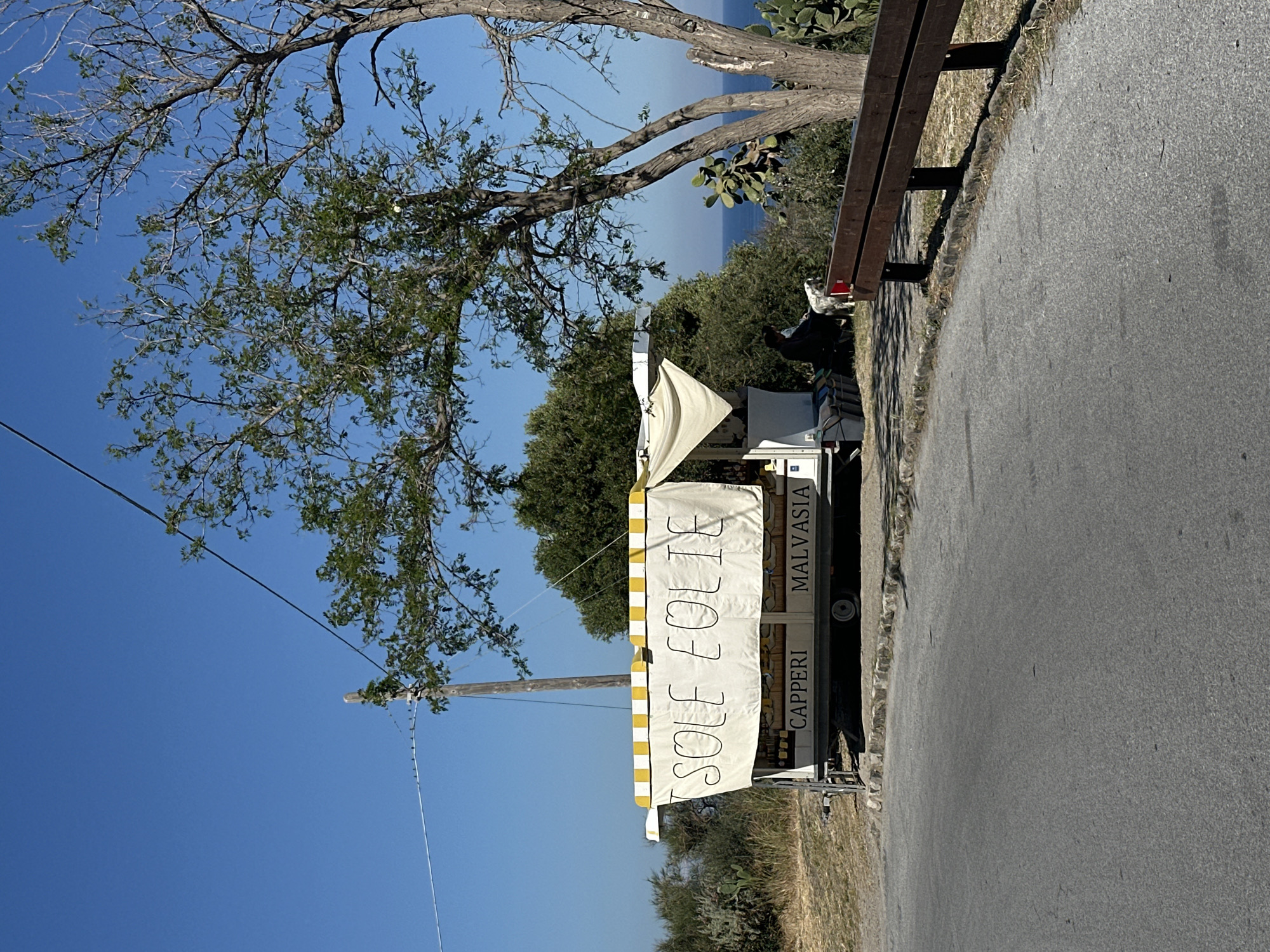 The image, oriented vertically, captures a sunny outdoor scene by the side of an asphalt road, likely in a coastal region like Lipari, Italy, based on the provided context and visible signage. In the foreground, a charming food truck with a white and yellow striped awning is parked, appearing to be a roadside vendor. A white banner hangs from the awning, displaying "ISOLE EOLIE" (Aeolian Islands) in bold black script. On the side of the truck, the words "CAPPERI" (capers) and "MALVASIA" are clearly visible, indicating local products for sale.
A large tree with a substantial trunk and branches, some bare and some adorned with green leaves, frames the left and upper parts of the image, extending into a clear, bright blue sky. Beyond the truck and lush green vegetation, the serene blue expanse of the sea stretches into the horizon. A sturdy wooden guardrail runs along the right edge of the road, paralleling the truck. A utility pole with wires is also visible on the left side, extending upwards. The bright light and clear sky indicate it is daytime, under pleasant weather conditions. The scene suggests a peaceful, localized business selling regional specialties.