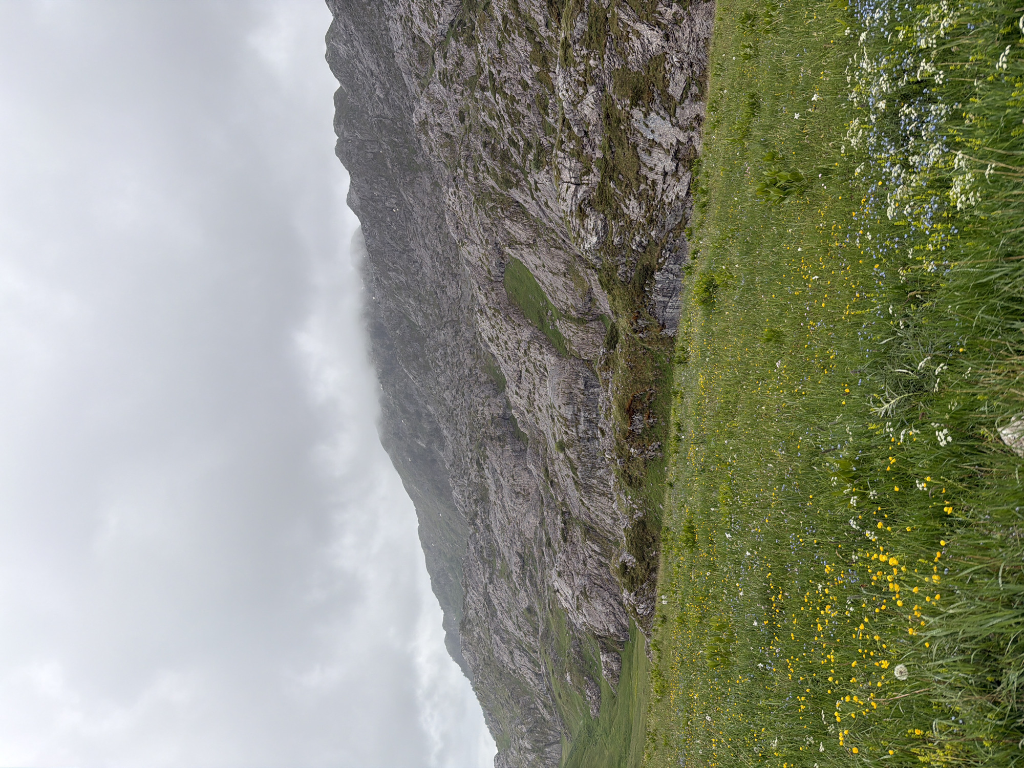 A dramatic, vertically oriented landscape photograph captures a majestic mountain scene in Mala Lukavica, Montenegro. A large, rugged mountain face dominates the image, running diagonally from the lower-left towards the upper-right. Its steep slopes are composed of grey and brown rock, showing intricate geological textures and crevices, with scattered patches of green moss and grass clinging to the stone.
The upper sections and flanks of the mountain are partially enveloped in thick, grey clouds or mist, which also fill the sky in the top-left portion of the frame, creating an atmospheric and somewhat ethereal mood.
Contrasting with the imposing rock and clouds, the bottom-right section of the image features a vibrant, lush green meadow. This field is densely populated with a variety of wildflowers, including numerous bright yellow blooms, white flowers, and hints of smaller blue blossoms, adding a rich tapestry of color to the foreground.
The overall impression is one of natural grandeur and wild beauty. The weather appears overcast and misty, suggesting subdued lighting conditions. There is no visible activity, people, objects, or text in the image.