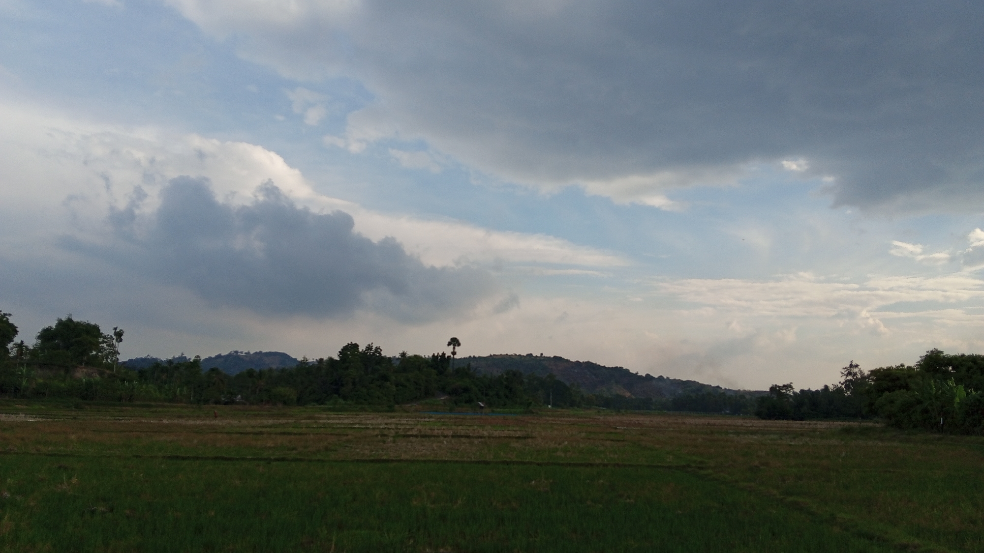The image depicts a rural landscape with a vast expanse of rice fields in the foreground. The fields are a mix of green and brown, indicating varying stages of growth or harvest. A line of trees and vegetation borders the fields, leading to a hilly terrain in the middle ground. On these hills, more trees and some scattered structures are visible. A distinct, tall tree with a unique crown stands out prominently on one of the hills. In the background, distant mountains are shrouded in haze. The sky is partly cloudy, with large, dramatic gray clouds dominating the upper portion, contrasted by patches of blue sky. The scene suggests a natural environment, likely a farming area in a region with rolling hills. The location is identified as Blangreuling, Indonesia.
