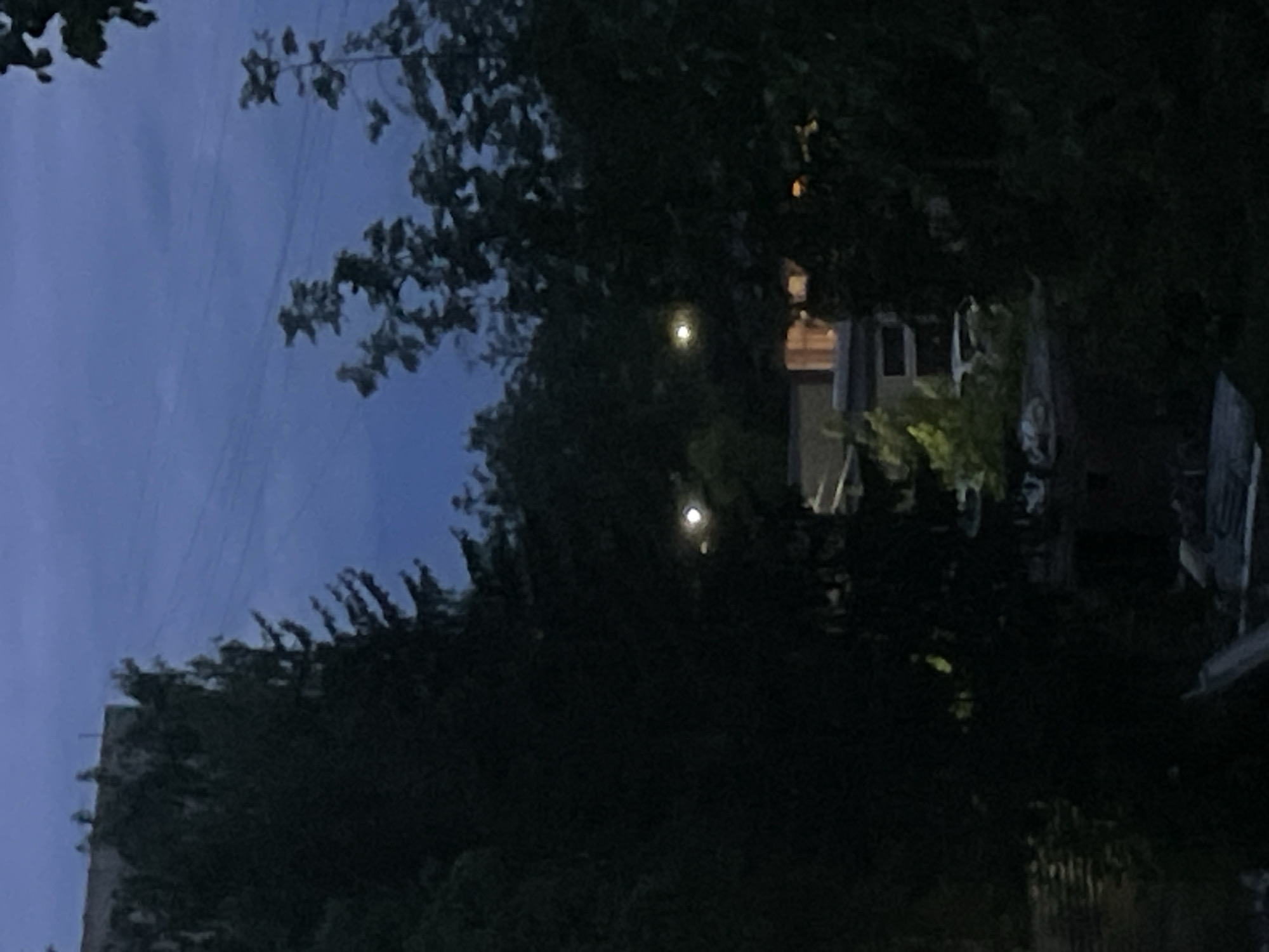 The image shows a night scene in an urban environment. Dense foliage, possibly trees, frames the view. In the background, the illuminated windows and structure of a building are visible. The sky is a dark blue hue, indicative of twilight. Two bright spots pierce through the foliage, possibly streetlights or external lighting fixtures from a building. Power lines are visible against the sky. No people are apparent. A building can be seen in the background, but its specific architectural features are unclear due to the lighting and obstruction.
