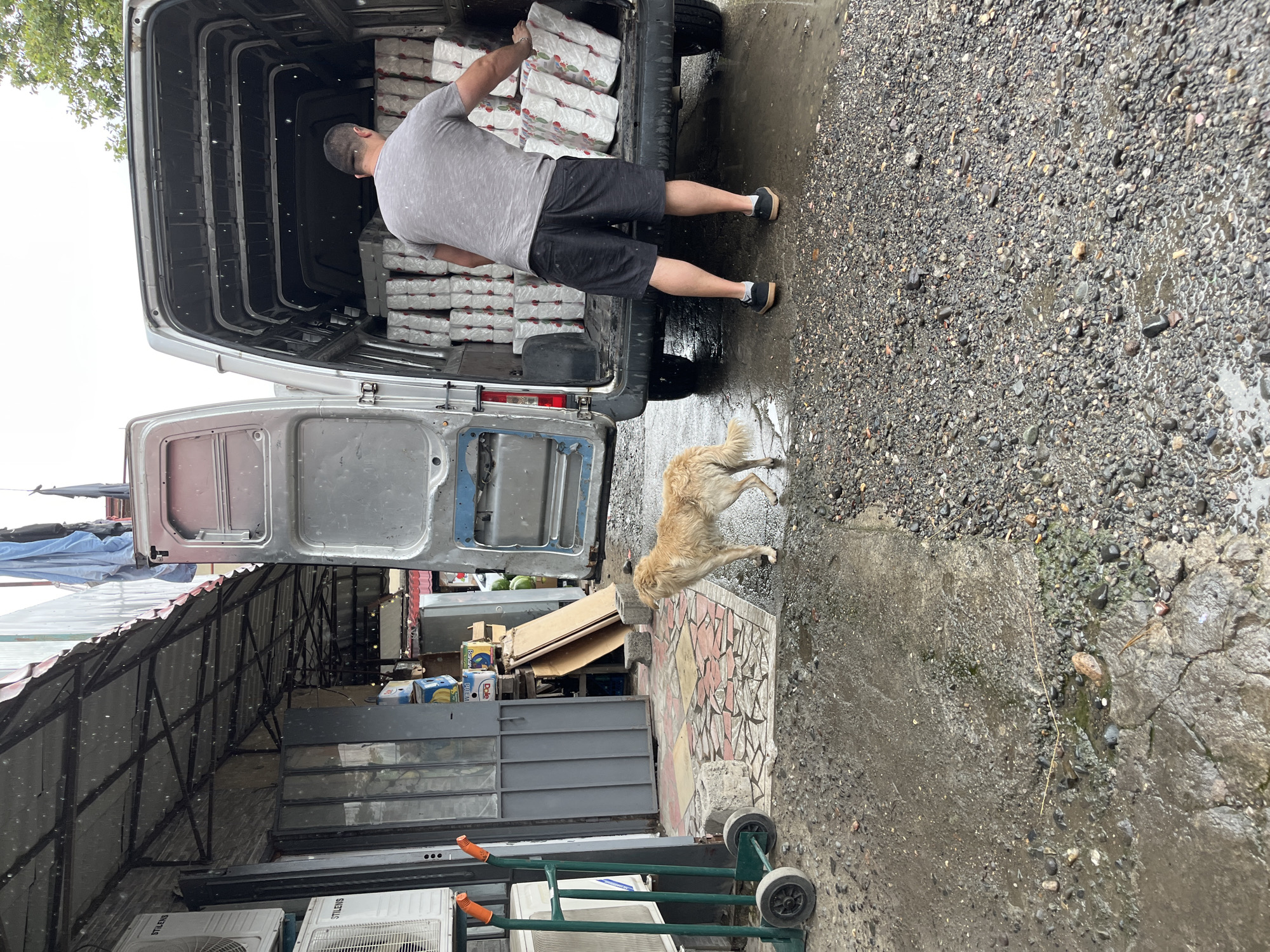 In Poti, Georgia, on a rainy day, a man is unloading rolls of toilet paper from the back of a van. The van is parked on a gravel and wet concrete surface in front of a store with an open awning. A tan dog stands on the tiled walkway near the store, looking towards the van. The scene appears to be a commercial area, possibly a local market or shop. The weather is overcast and wet, with visible raindrops in the air.