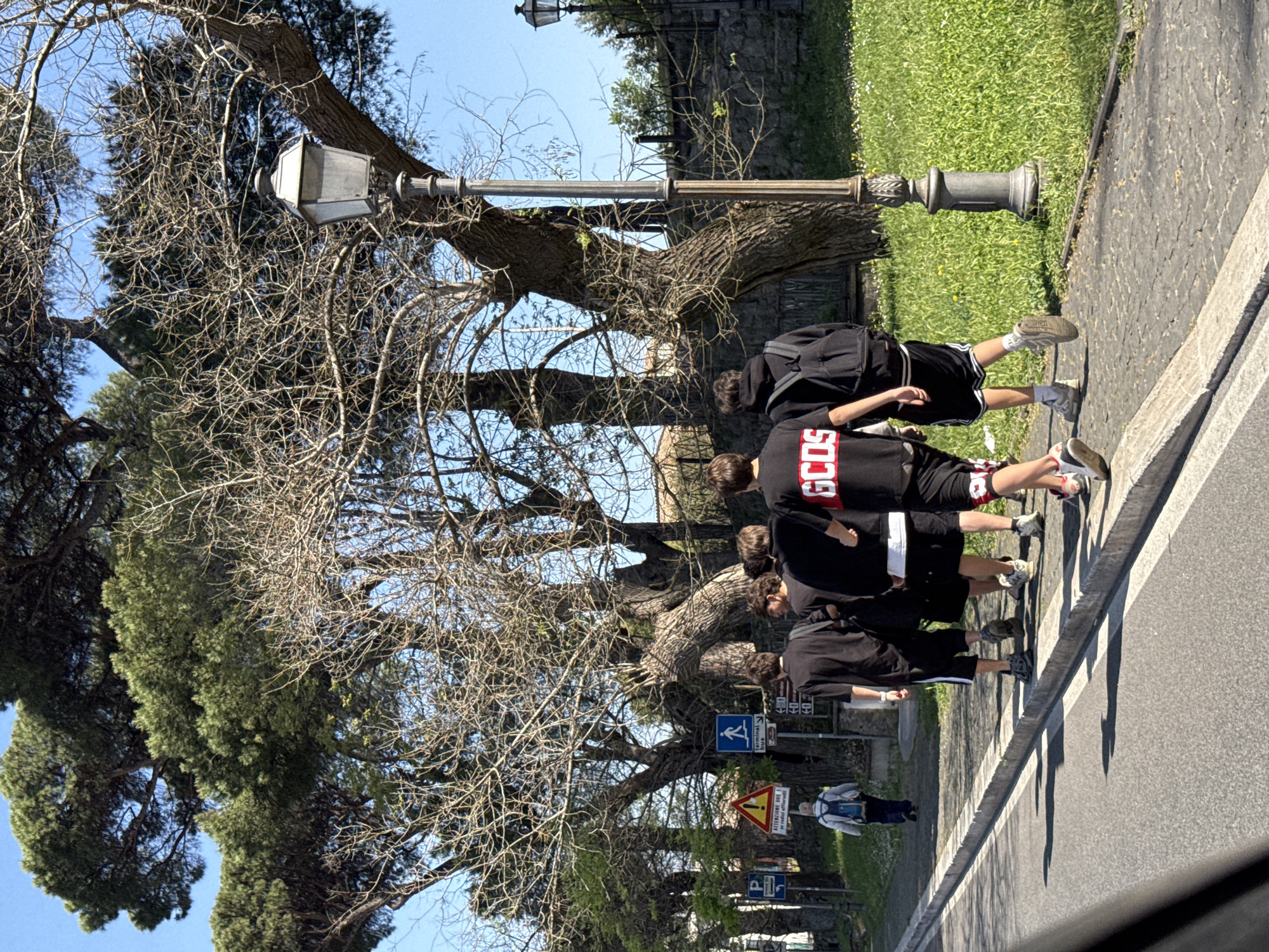 This image depicts an outdoor street scene in Castel Gandolfo, Italy, on a bright, sunny day with a clear blue sky.
The main subjects are a group of at least four young males, likely teenagers, walking from left to right along a paved area adjacent to an asphalt road. They are dressed casually in dark clothing, primarily black shorts and t-shirts. One individual in the foreground wears a black t-shirt with the brand "GCDS" prominently displayed in red and white lettering. Several members of the group are carrying backpacks. Their posture suggests they are walking purposefully, possibly crossing a road or moving along a designated pathway. Further in the background, another individual in lighter clothing and a backpack is visible walking on the opposite side of the street.
The setting is characterized by mature trees, with some displaying intricate bare branches and others providing lush green foliage. A tall, ornate street lamp, typical of European design, stands beside the paved area. The environment includes a strip of green grass and a stone wall in the background.
Visible objects include various road signs: a blue square sign with a white graphic (possibly indicating a pedestrian path or a downhill activity), a yellow triangular warning sign with an exclamation mark, and other smaller blue signs. Partially visible text on the yellow sign reads "ATTENTION...", indicating a warning. Another blue sign clearly shows "P Parcheggio," signifying parking. The road surface has a distinct white line, likely marking a crosswalk or the edge of the carriageway.
The scene captures an ordinary moment in a charming Italian town under pleasant weather conditions.