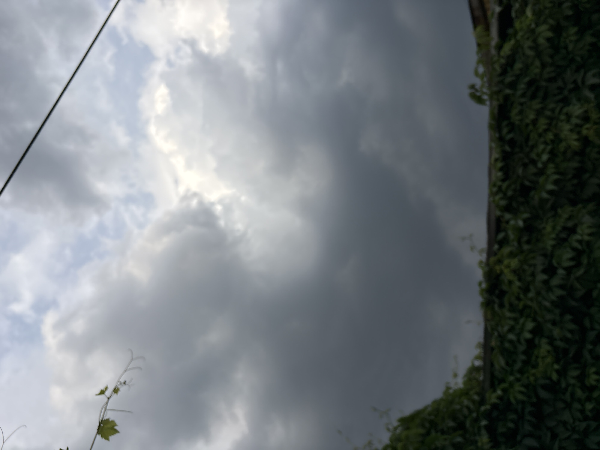 The image shows a cloudy sky with a dark, ominous storm brewing. A thin black wire runs diagonally across the top right of the frame. In the foreground, there is a dense green hedge or vine-covered fence. A few tendrils of ivy or vine are visible against the sky on the left side. The image appears to have been taken outdoors in Almaty, Kazakhstan, likely during an overcast or stormy day. There are no people or visible actions depicted in the scene.