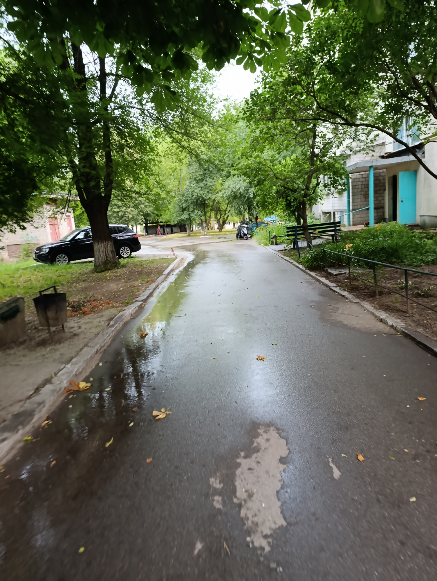 The image depicts a wet asphalt road in front of an apartment building, likely in the city of Ladyzhyn, Ukraine, given the context provided. Lush green trees with dense foliage line the road, casting shadows. A black SUV is parked on the grassy area to the left, next to a tree. On the right side of the road, a portion of a light-colored apartment building with blue accents around a doorway is visible. A metal bench is situated in front of the building, surrounded by overgrown green plants. There is a metal trash bin on the left side of the road, near the parked car. The road surface is damp and reflective, with scattered fallen leaves. A metal railing runs along the edge of the property in front of the building. The sky appears overcast, suggesting it may have recently rained or is about to.