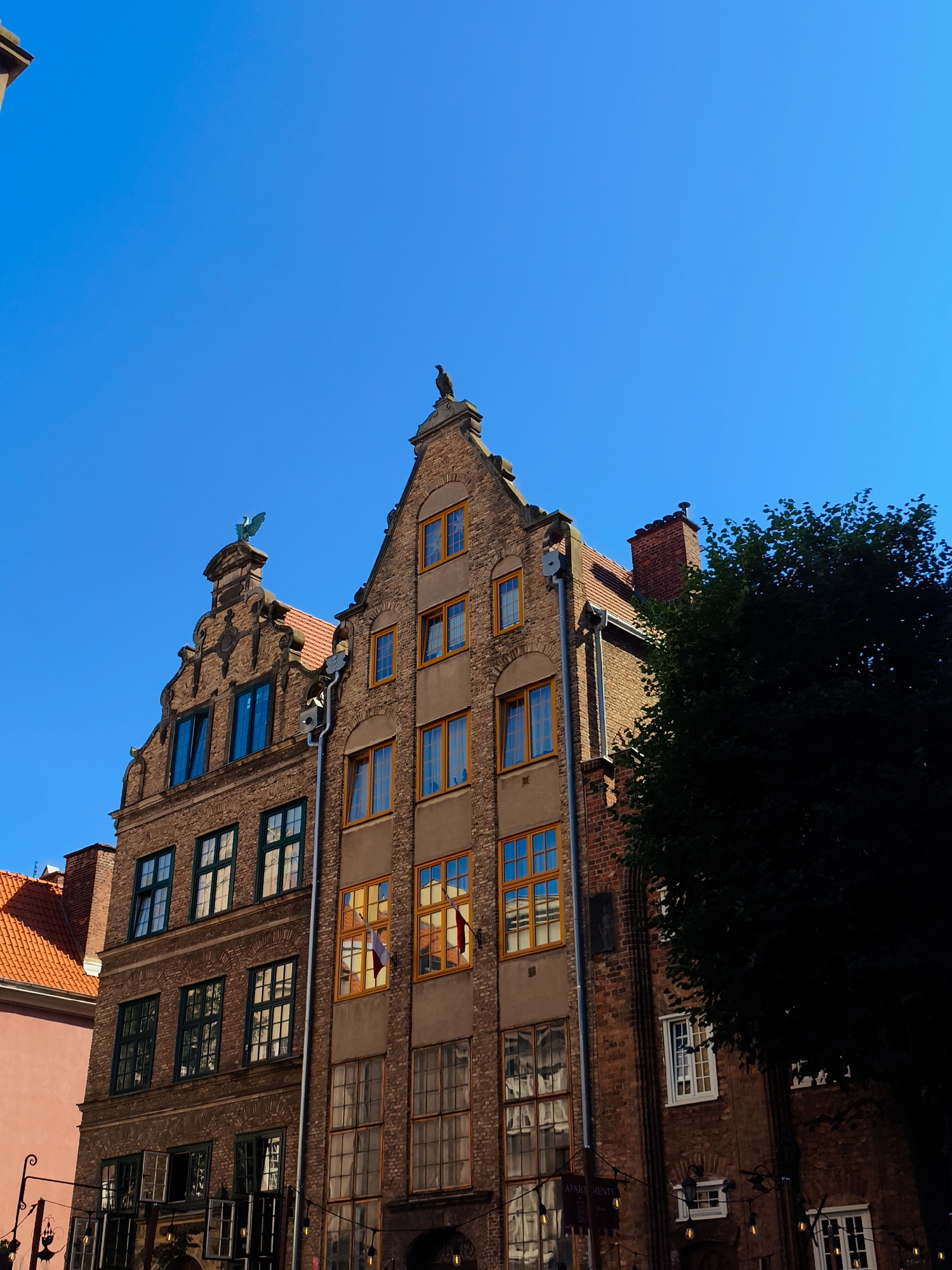 The image shows a view of a row of historic brick buildings with ornate facades against a clear blue sky. The architecture suggests a location in Gdańsk, Poland, likely within the Old Town or one of its historic districts. One of the buildings features a stepped gable with decorative carvings and a statue of a bird on its apex. The buildings have numerous windows with dark green or light orange frames, some of which reflect the sky or surrounding elements. A large, dark green tree partially obscures the right side of the image. The lower portions of the buildings show shopfronts or entrances, with some signs and decorative lighting visible. The overall impression is of a well-preserved urban historical setting on a sunny day.