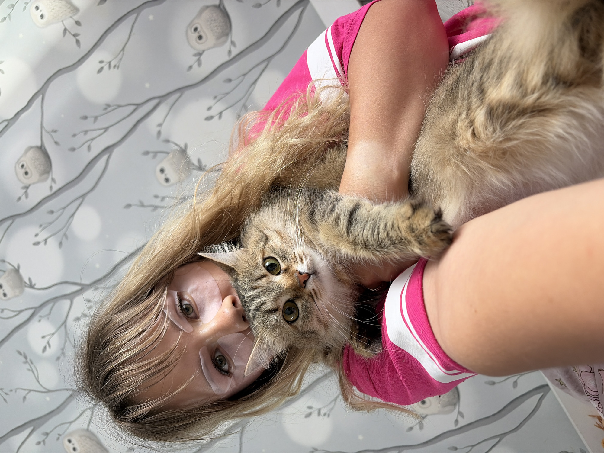 In an indoor setting with a light blue wallpaper featuring grey branches and white owls, a young blonde woman with light brown hair is holding a tabby cat. She is wearing a bright pink t-shirt with white stripes on the sleeves and neckline. The woman has white under-eye patches on her face. The cat, which appears to be a Siberian or similar breed, is light brown and grey with tabby markings and green eyes. It is being held cradled in the woman's arms. The image is taken from a slightly elevated perspective, looking down at the woman and cat. The lighting is natural and soft, suggesting it might be daytime. There is no information in the image to suggest a location in Chaikovsky, Russia.