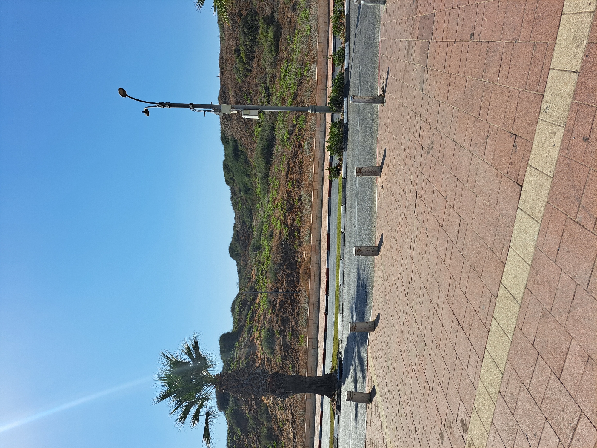 The image depicts a sunny outdoor scene in Herzliya, Israel, likely along a coastal road. In the foreground, a reddish-brown brick pavement is visible, with a band of lighter-colored bricks running horizontally across it. Several short, cylindrical concrete bollards are spaced along the edge of the pavement, bordering a paved road.
On the other side of the road, a palm tree stands tall to the left, its fronds spread against a clear blue sky. A sunbeam is prominently visible, cutting diagonally across the upper left portion of the frame. Further to the right, a tall lamppost with two lights stands beside a gently sloping, green and brown hillside covered in sparse vegetation. A stone retaining wall runs along the base of the hill. The overall impression is one of a well-maintained public space with natural elements integrated into an urban environment. There are no people or animals present in the image.
