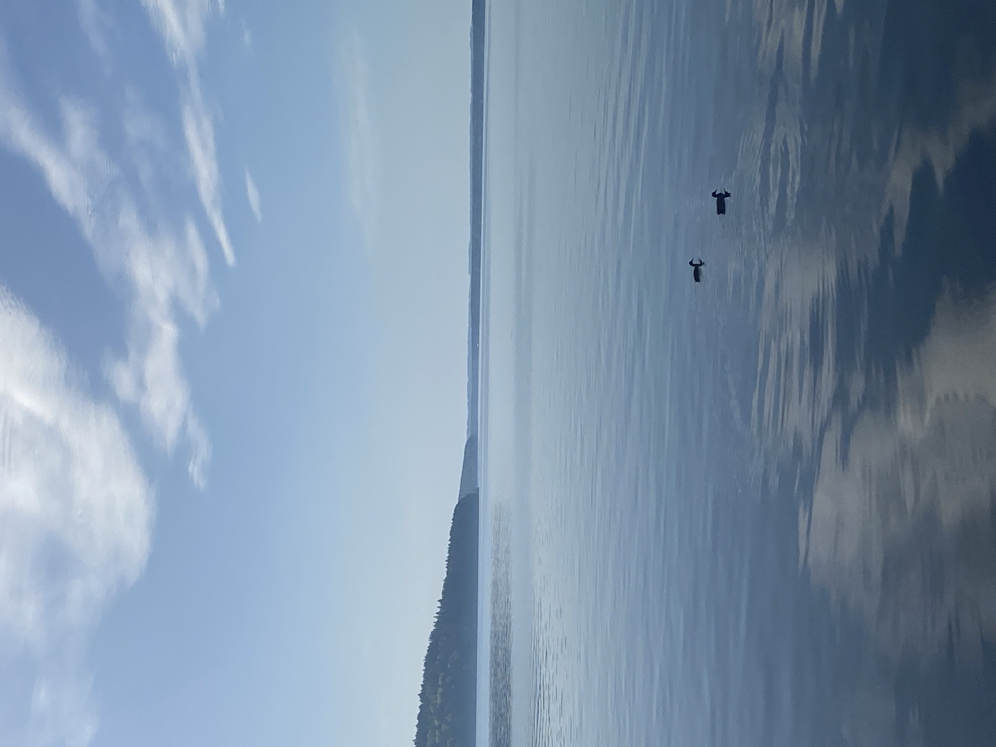 The image shows a body of water, likely a lake or bay, under a partly cloudy sky. Two people are visible in the water, positioned closely together. One appears slightly ahead of the other. Along the shoreline, there is vegetation, suggesting a forested area. The image does not show any explicit evidence to confirm that it is in Chaikovsky, Russia. The lack of identifiable landmarks prevents definitive confirmation of its location.
