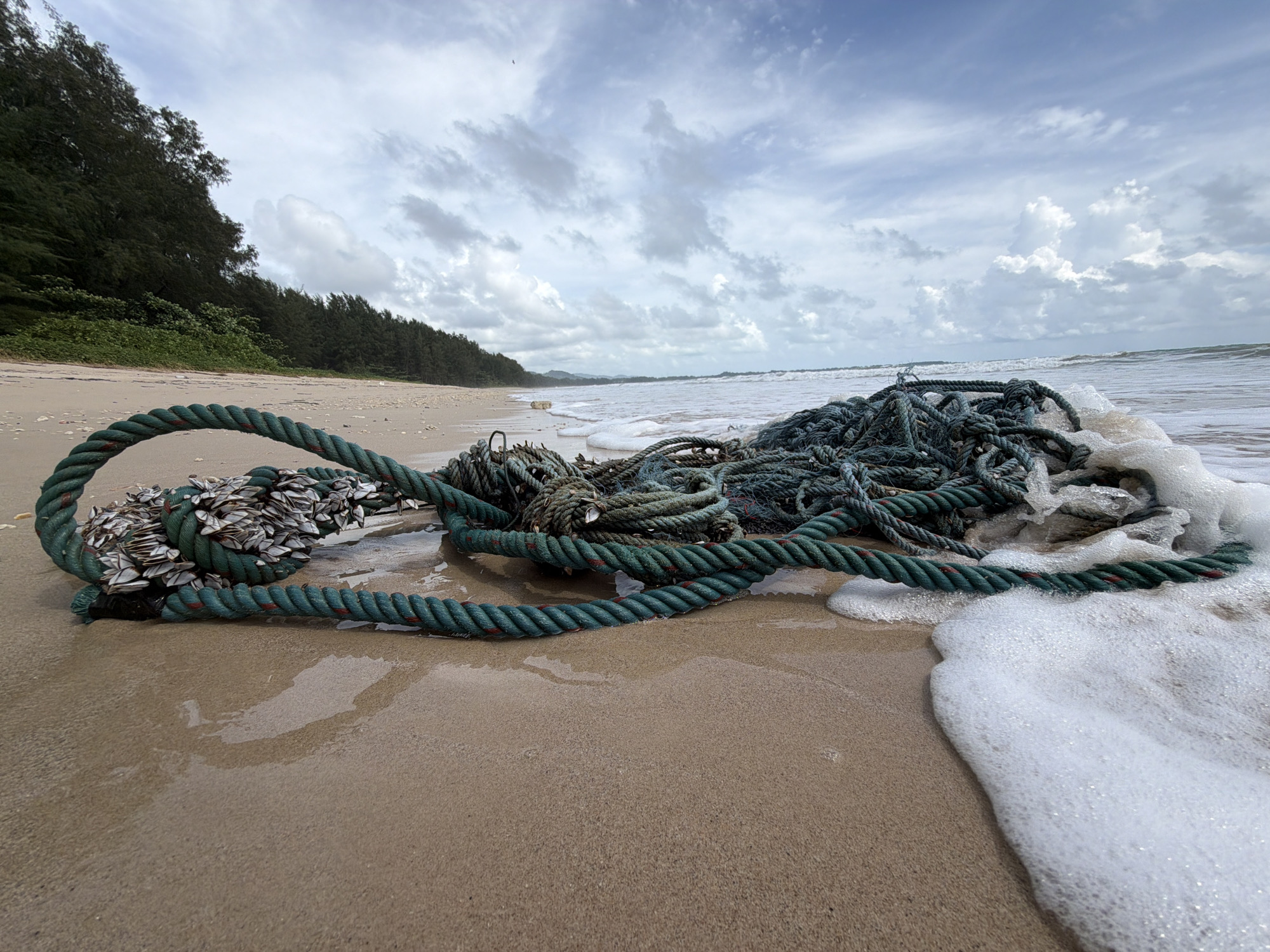 This is a low-angle, wide shot of a beach in Bang Muang, Thailand, with a large pile of green and gray ropes tangled together on the wet sand in the foreground. The ropes are partially submerged by foamy white waves that are washing ashore. Some of the ropes are encrusted with white barnacles or other marine growth. In the background, there is a sandy beach leading to a dense line of dark green trees and foliage. Further in the distance, the ocean stretches out to the horizon under a cloudy sky with patches of blue. The overall scene depicts washed-up marine debris on a coastal environment.