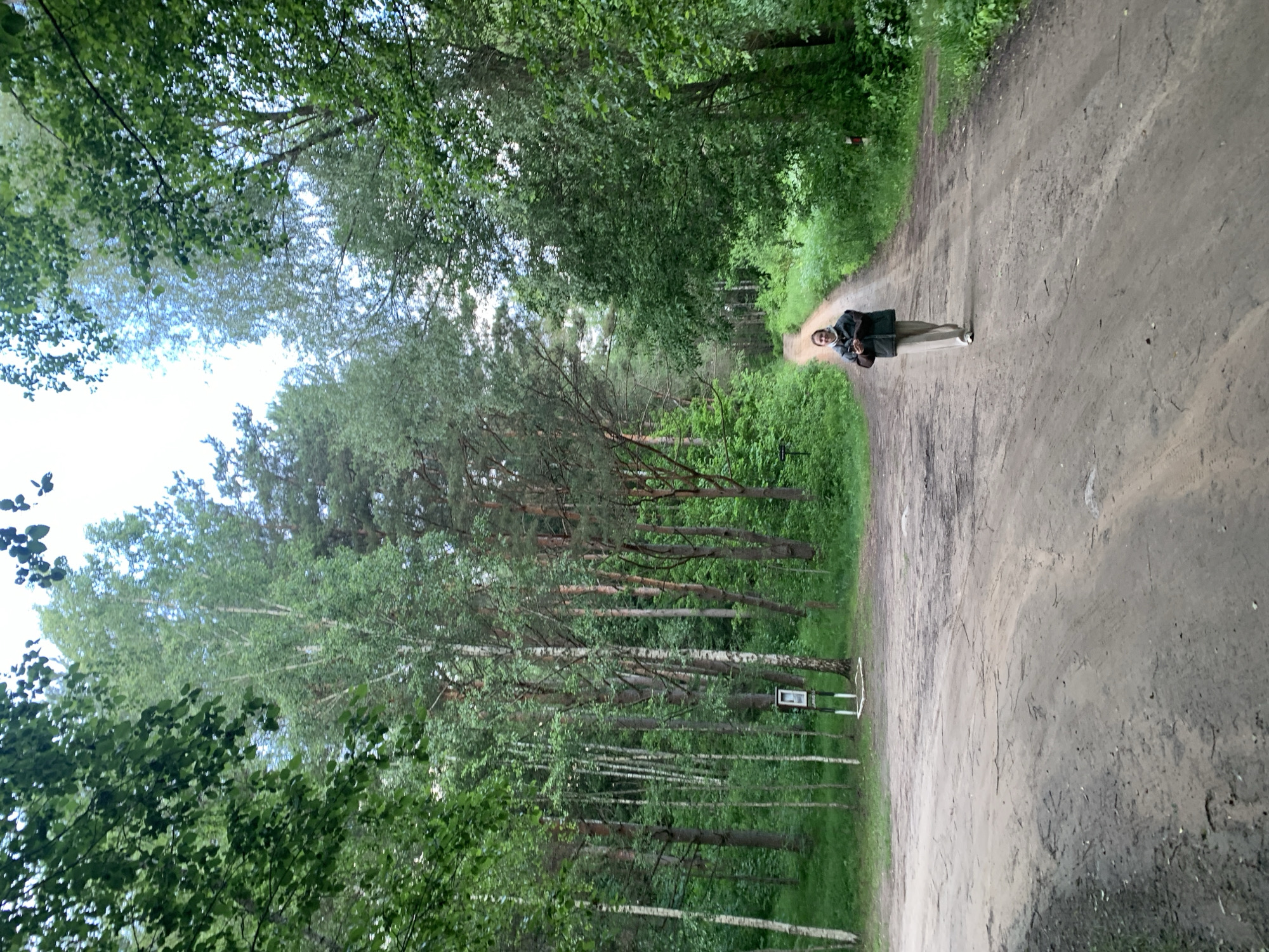 A single person, a woman, walks down a dirt road in a forest. She is wearing light-colored pants and a dark vest over a lighter-colored top, and is looking at her phone. The road is surrounded by trees, with a variety of deciduous and coniferous trees visible. The sky is overcast. The location is identified as Miazhancki sielski Savet, Belarus.