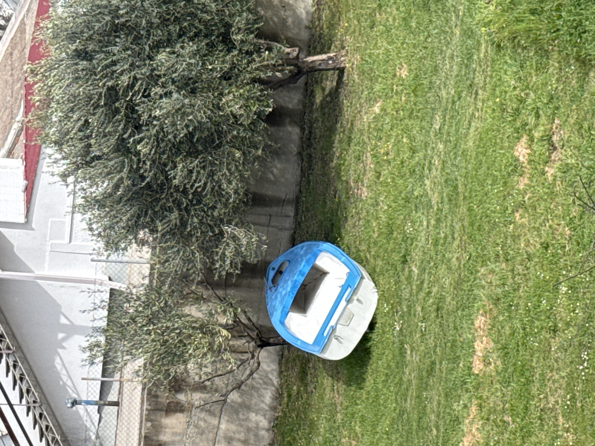 The scene depicts an outdoor grassy area adjacent to a residential building, located in Unknown, Unknown. A small, approximately 2-meter long, fiberglass or plastic boat with a white lower hull and a blue upper hull rests overturned on its port side in the center-left foreground. Its white interior is visible. Two olive trees are positioned in the midground; a smaller, sparsely foliated tree is to the left of the boat, and a larger, denser tree is to the right, partially obscuring the background. Behind the trees, a low concrete retaining wall runs horizontally, topped by a chain-link fence. In the background, a light-colored, multi-story building is visible. The left side of the building features an external metal staircase ascending diagonally, and a blue cylindrical utility pipe or fixture is present near its base, behind the fence. A section of a red-tiled roof is visible on the upper right of the building. The ground is covered in green grass, interspersed with patches of lighter soil and small white flowers. Shadows are cast across the concrete wall and building, indicating direct sunlight. No individuals are present.