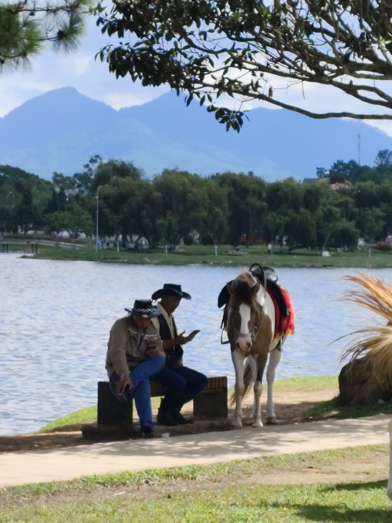 The image captures a serene outdoor scene by a lake in Da Lat, Vietnam. In the foreground, two men in cowboy hats are seated on a bench by the lake's edge. The man on the left, wearing a tan jacket and blue jeans, is looking down at his phone. The man on the right, in a light-colored shirt and dark vest, is also looking at his phone. Beside them stands a brown and white horse, equipped with a saddle and a red blanket. In the background, a calm lake reflects the sky and is bordered by lush green trees and hills, with hazy mountains in the distance. The atmosphere suggests a peaceful, possibly tourist-oriented location in Da Lat, known for its natural beauty and recreational areas.