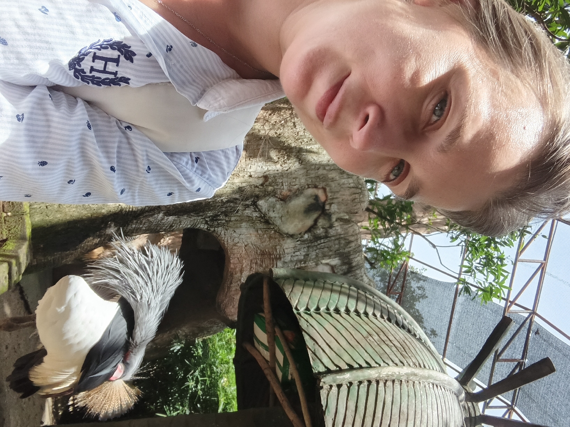 A woman is taking a selfie in what appears to be a zoo enclosure. She is wearing a light blue and white striped shirt with a crest on the left chest. Behind her, a crested bird is visible, with its head turned away from the camera and its crest feathers fanned out. The enclosure has a rocky background, greenery, and a man-made structure with a roof that resembles a mushroom or cap. The sky is visible through a mesh-like covering. The woman's face is partially obscured by the angle of the selfie, but her eyes are visible, and she has a slight smile. The overall impression is of a casual tourist visit to an animal exhibit in a sunny, outdoor environment.