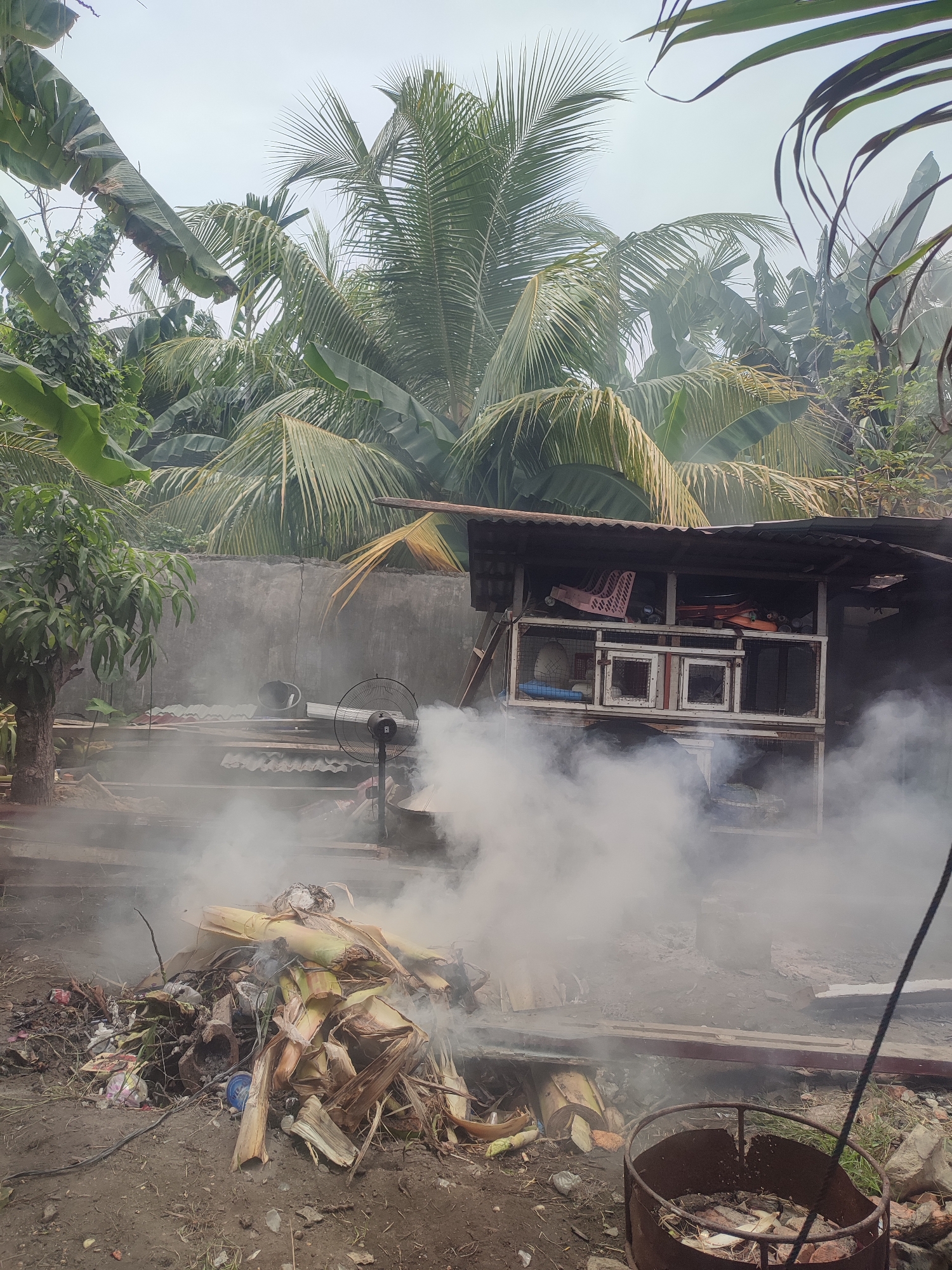 An outdoor scene in Gampongjawa, Indonesia, depicts a substantial pile of burning organic matter and refuse, emitting a large volume of white and grey smoke that permeates the mid-ground and drifts upwards. The burning pile, composed of dried banana leaves, stalks, and various discarded items including a blue plastic container, is situated on dirt ground in the foreground. To the right, a rusty metal barrel or container, also containing some debris, is visible.
In the middle ground, behind the smoke, a rudimentary shed or shelter with a corrugated iron roof stands. Inside, shelves or cages are visible, holding items such as plastic crates and baskets. A wooden ladder leans against the shelter's side. To the left of the burning pile, a black standing fan is positioned on the ground. Further left, a small tree with green foliage (possibly a mango tree) stands in front of a grey concrete wall.
The background is dominated by dense, lush tropical vegetation, including numerous tall coconut palm trees with their distinctive fronds and broad banana leaves. The sky above is overcast, contributing to the diffused lighting and hazy atmosphere, exacerbated by the smoke. No people or discernible text are visible in the image. The scene captures a moment of outdoor waste disposal in a tropical, likely semi-rural or residential setting.